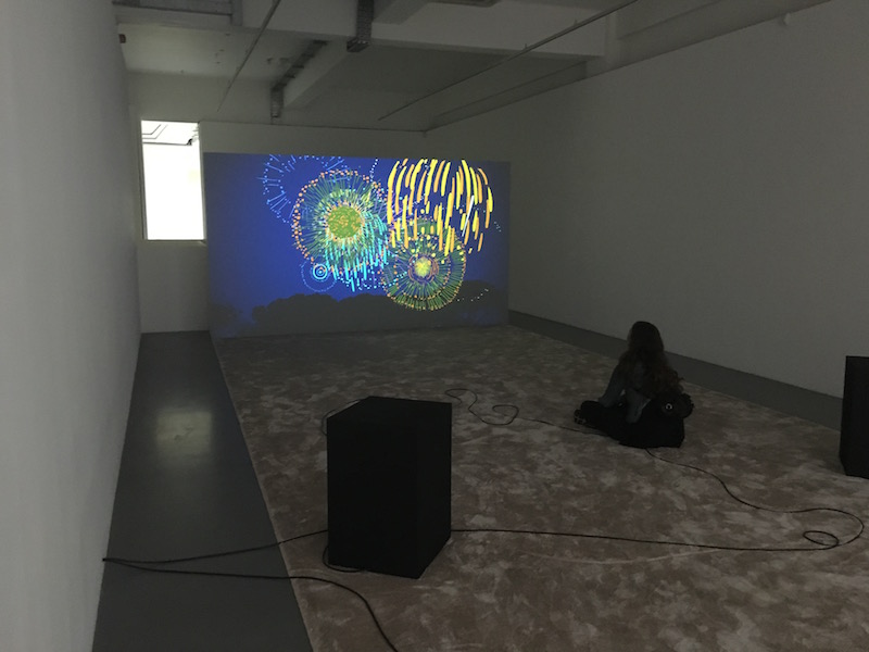 Rachel Rose, Lake Valley (2016) (still). I nstallation photo taken at Pilar Corrias