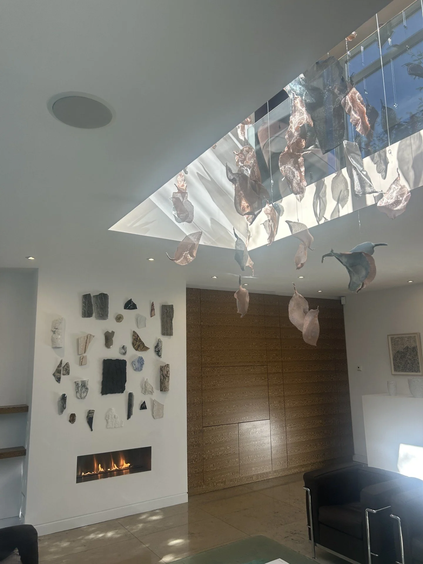 Jaclyn Mednicov 1.jpeg (Copy)