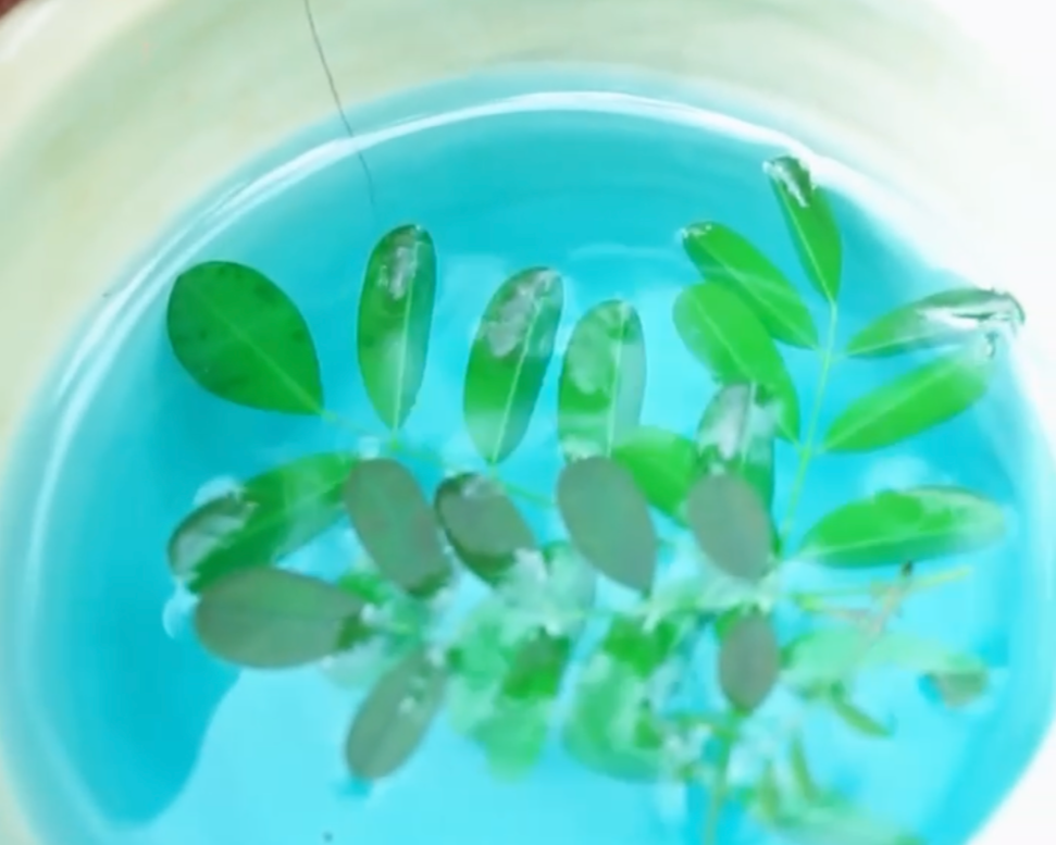 Screenshot 2026-03-30 at 18.43.39.png