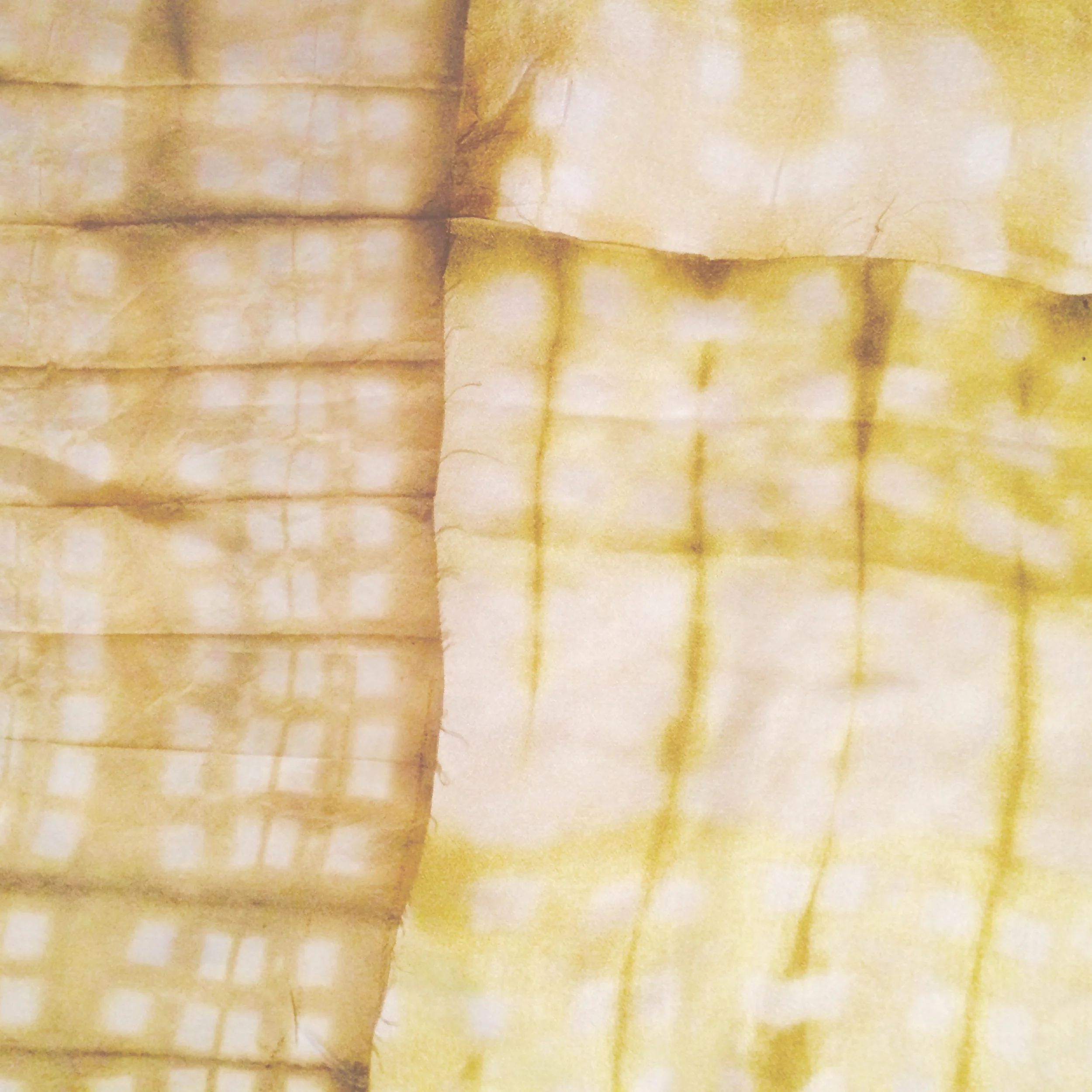 Japanese Shibori Tie-Dyeing with local, seasonal natural plant dyes: BYO Textiles