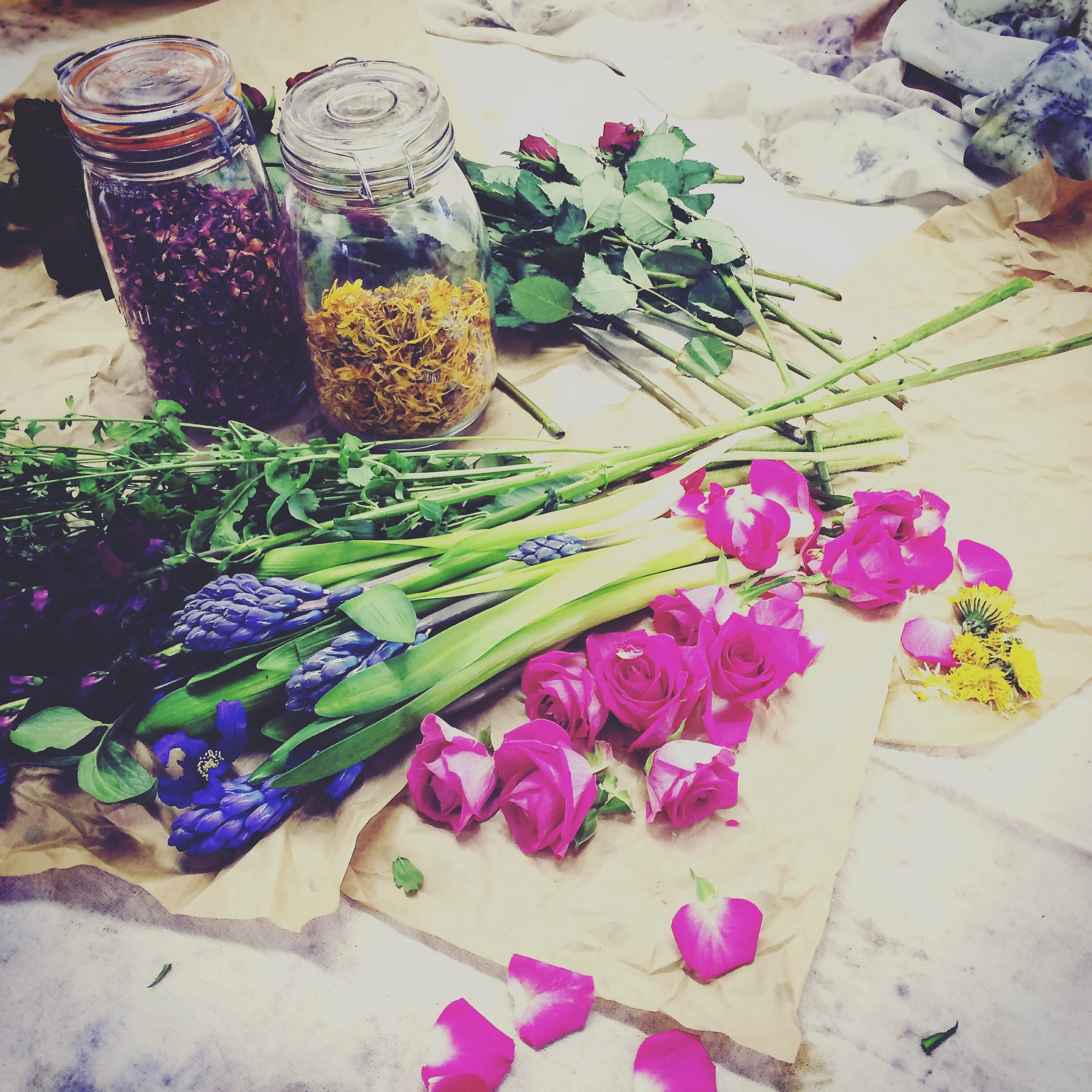 (Thanks for the waste flower and leaf donations!)
