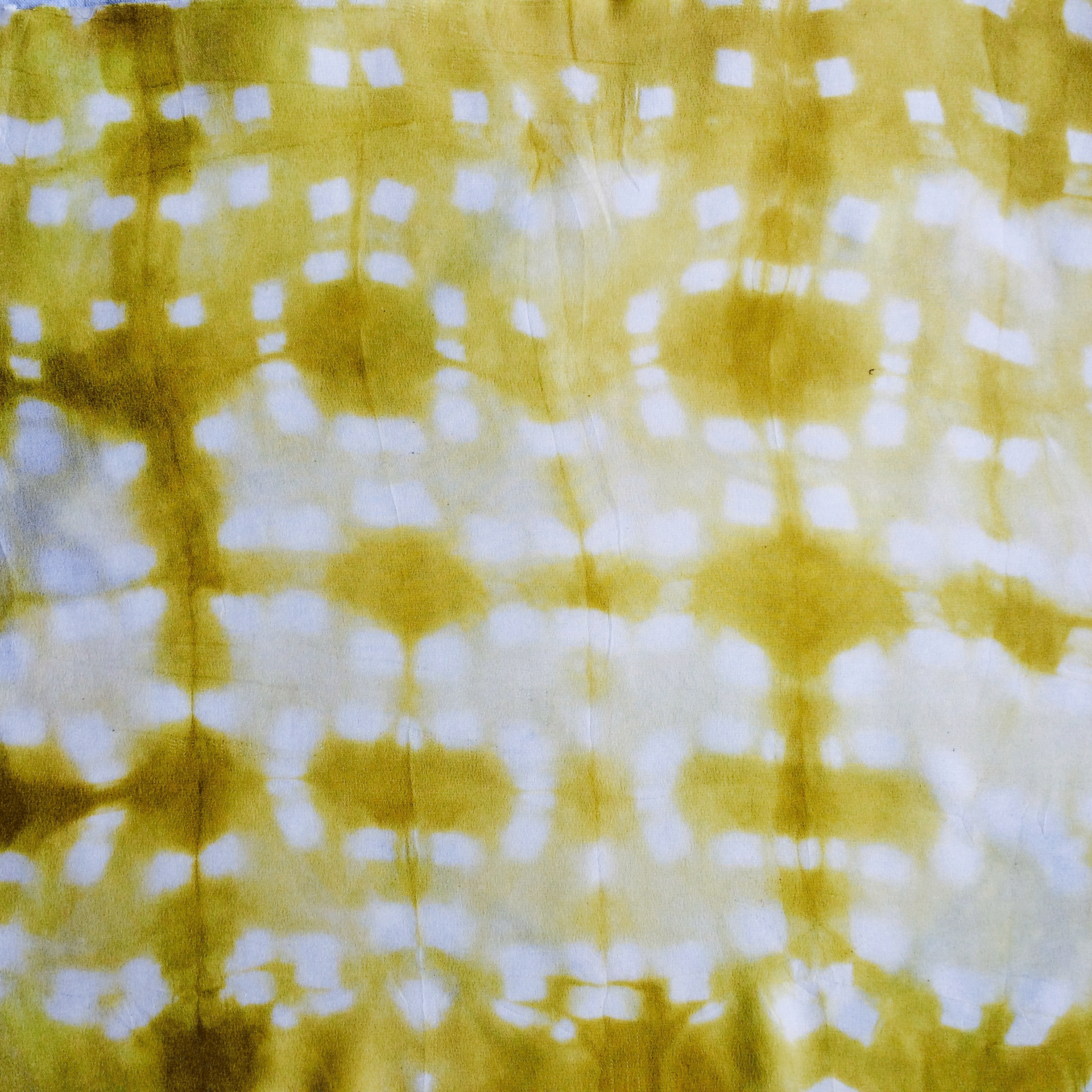 shibori-workshop-3.gif