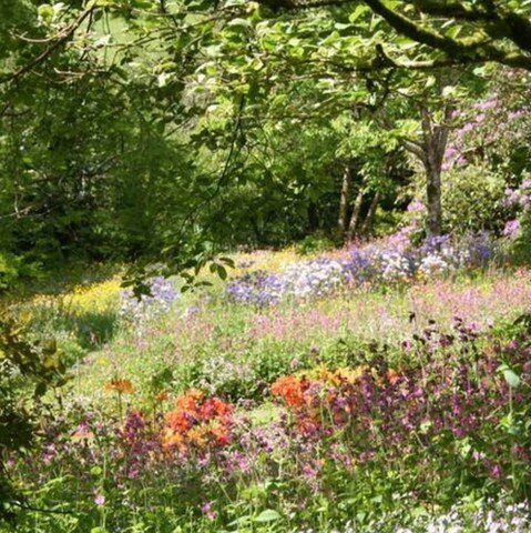 Come visit me on Dartmoor :)

My next workshop is June 10th 

Celebrating flower week with a beautiful afternoon of florally dyeing clothing &amp; fabrics. 

A display of gorgeous local, seasonal flowers will be provided and you&rsquo;ll learn to upc