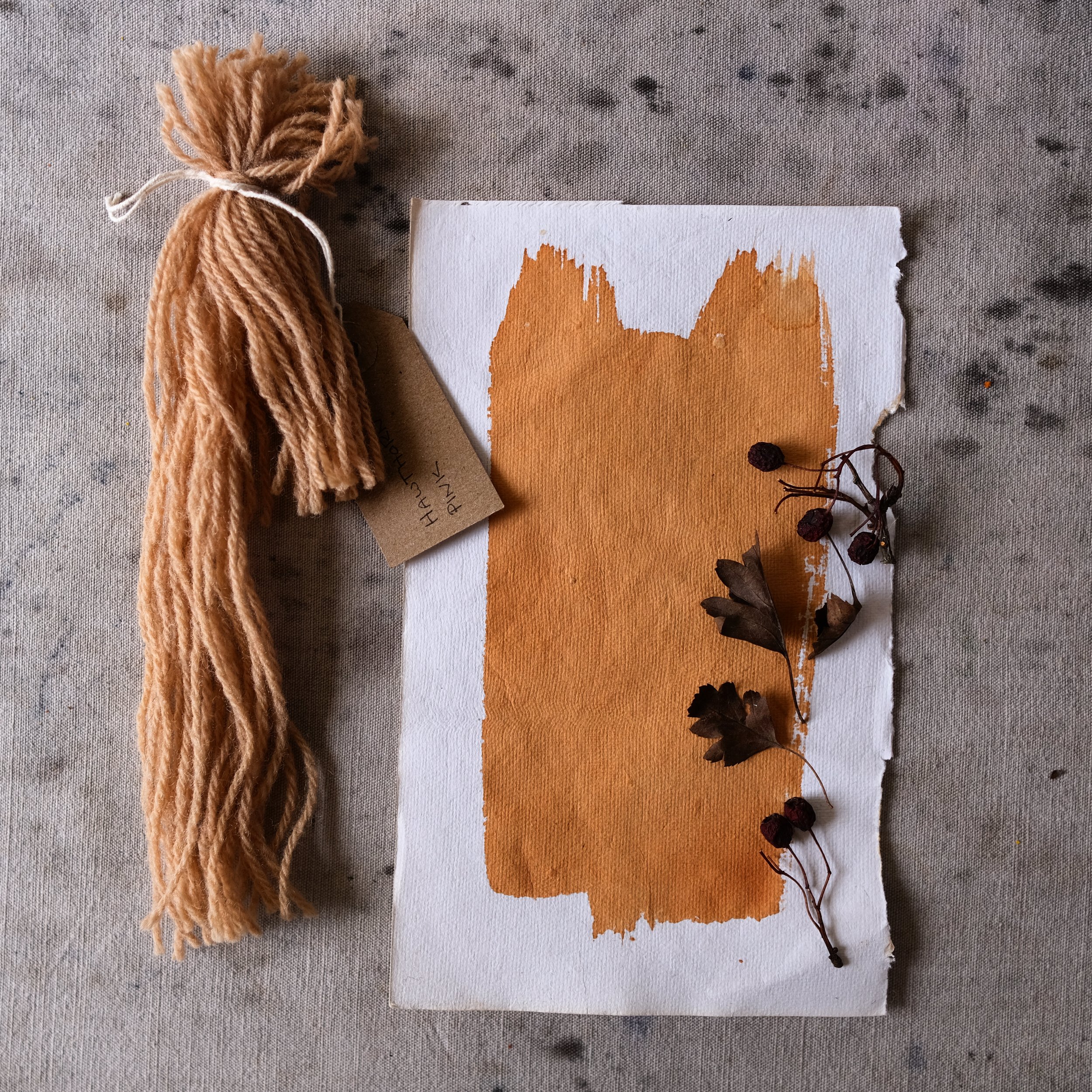 Hawthorn Dyed