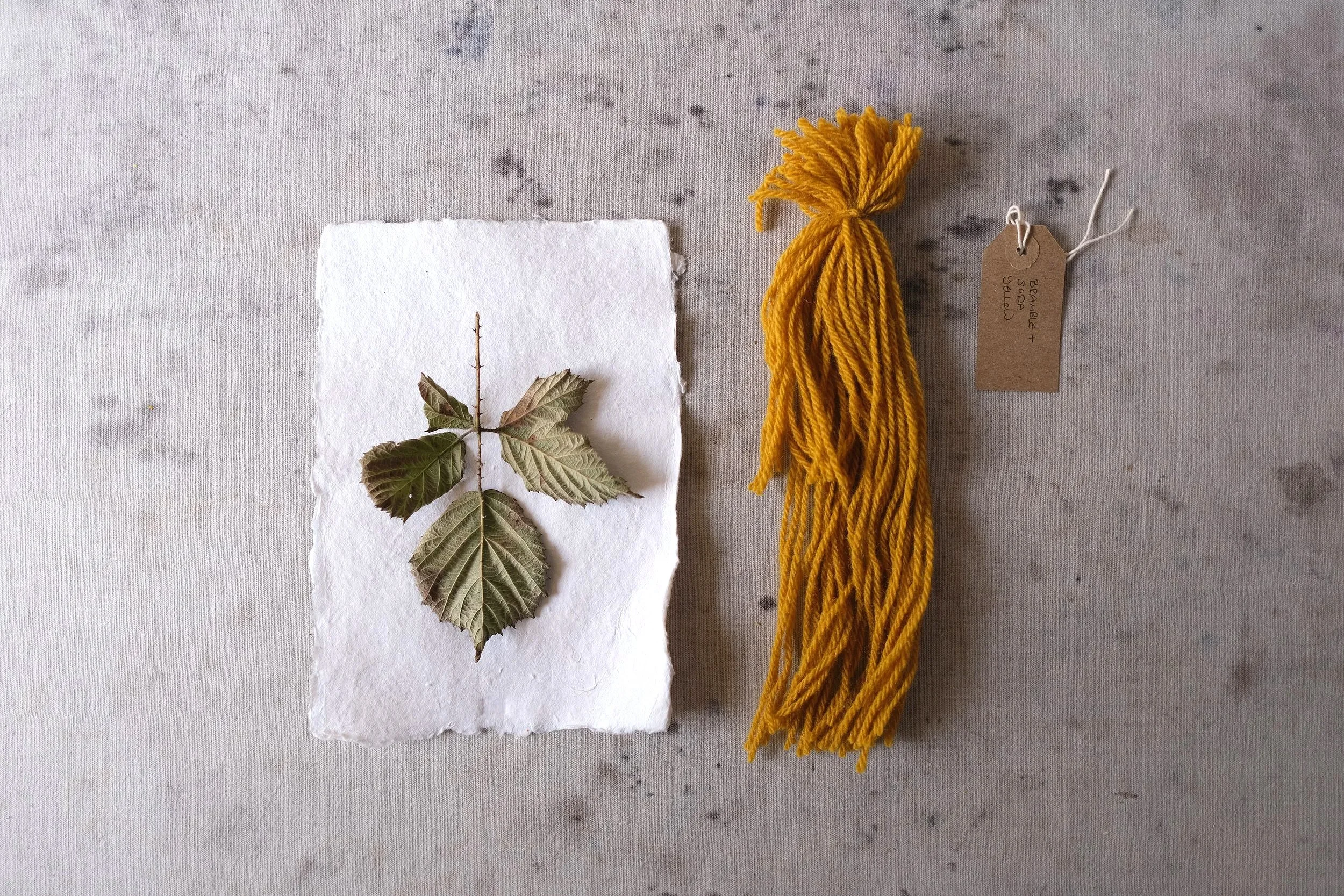 Bramble Dyed