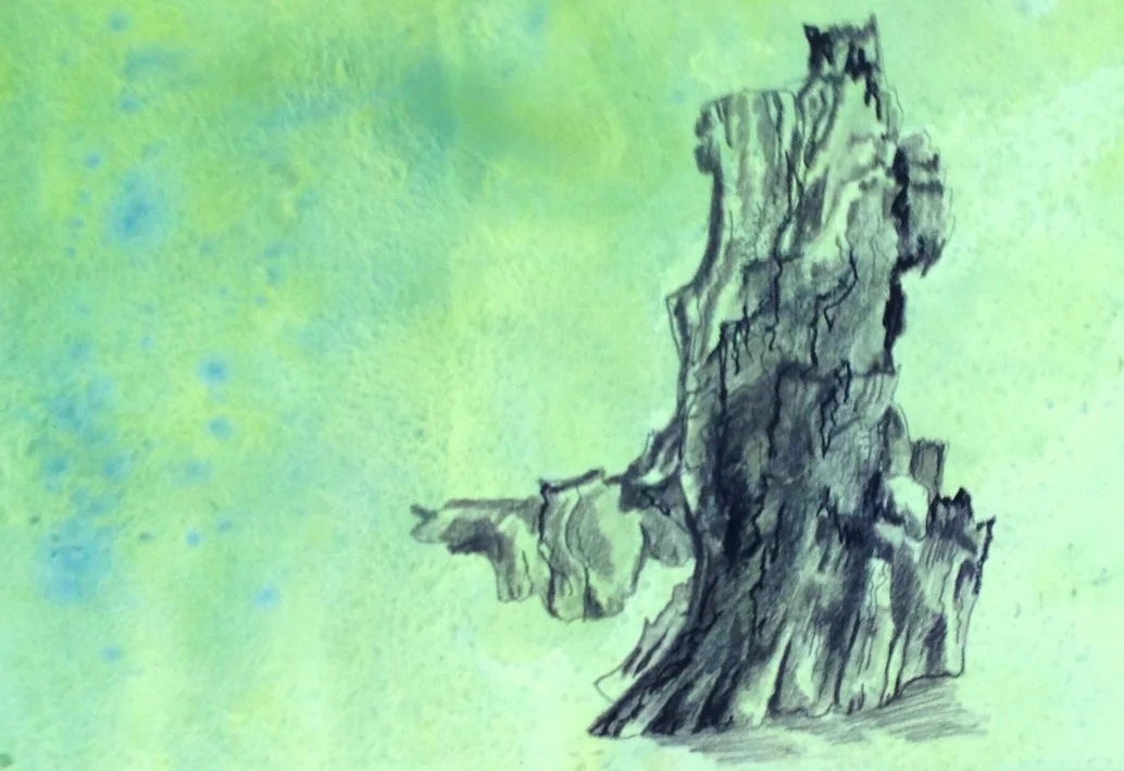 Rain drawing 2, charcoal, pigment, rainwater on paper