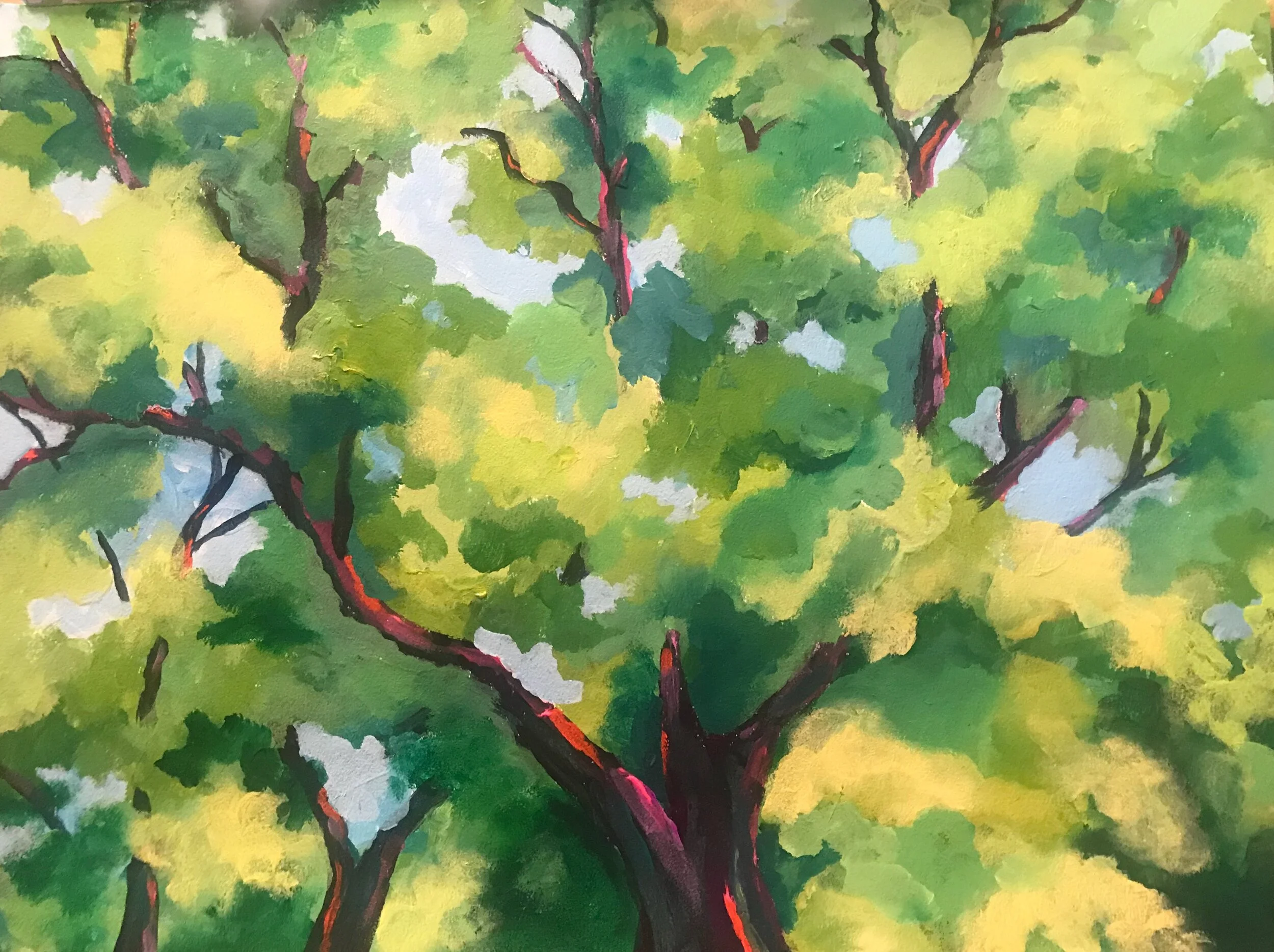 Tompkins Square Park