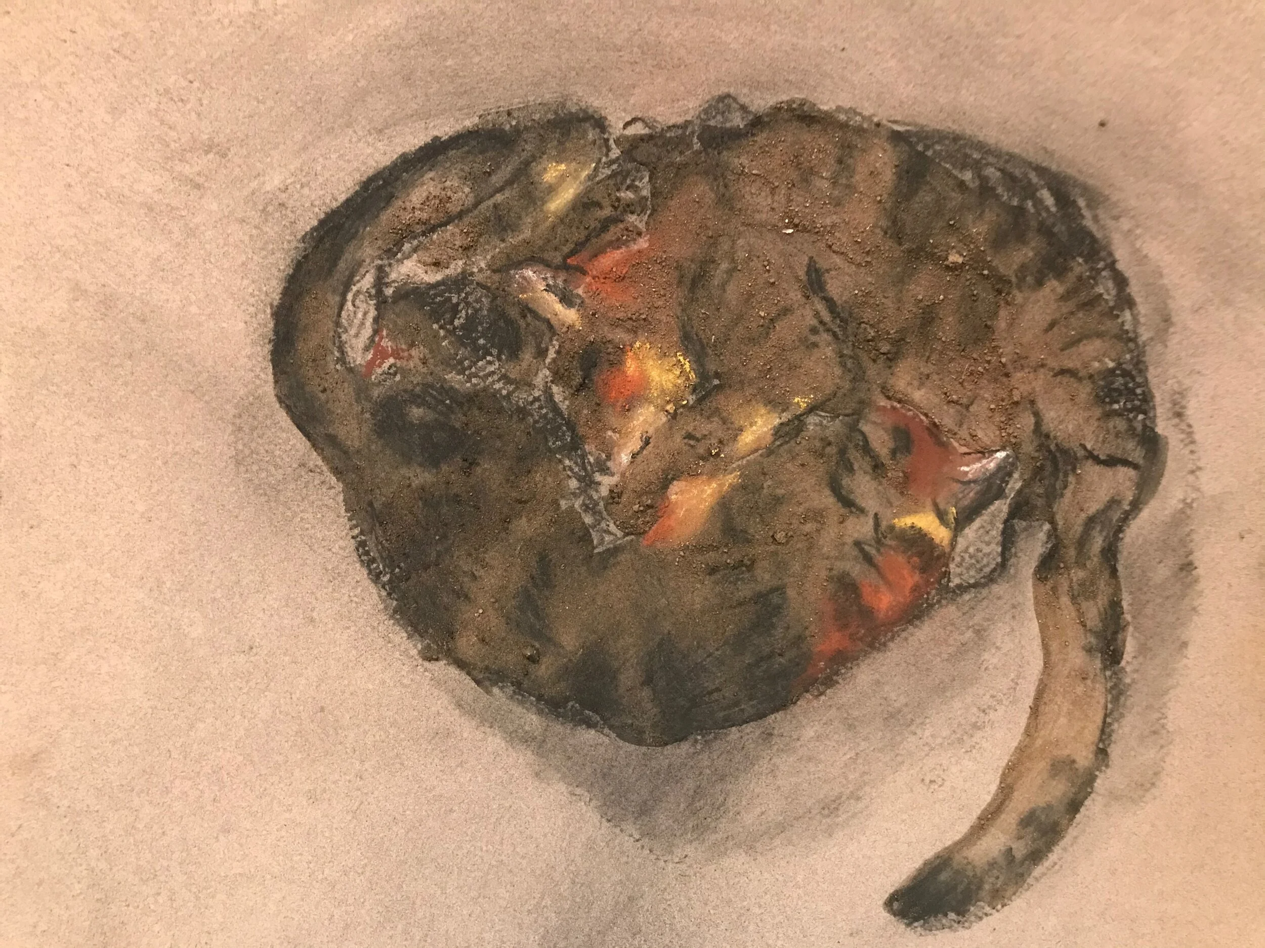Two Cats Snuggling, 20202, charcoal, pastel and dirt from Lake Balboa
