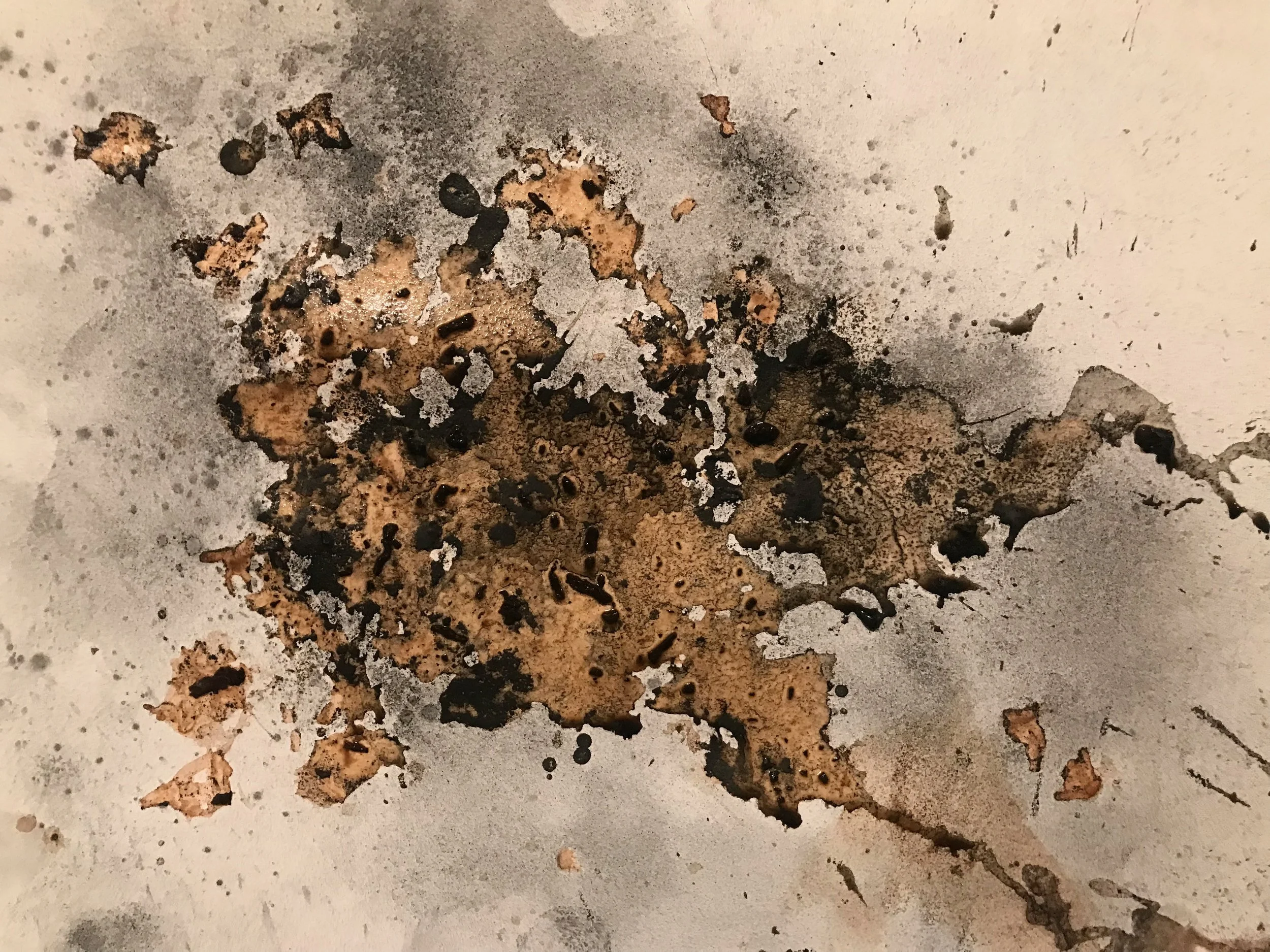 Charcoal, rain & Pu Er 2, 2021, 9" x 12" on paper