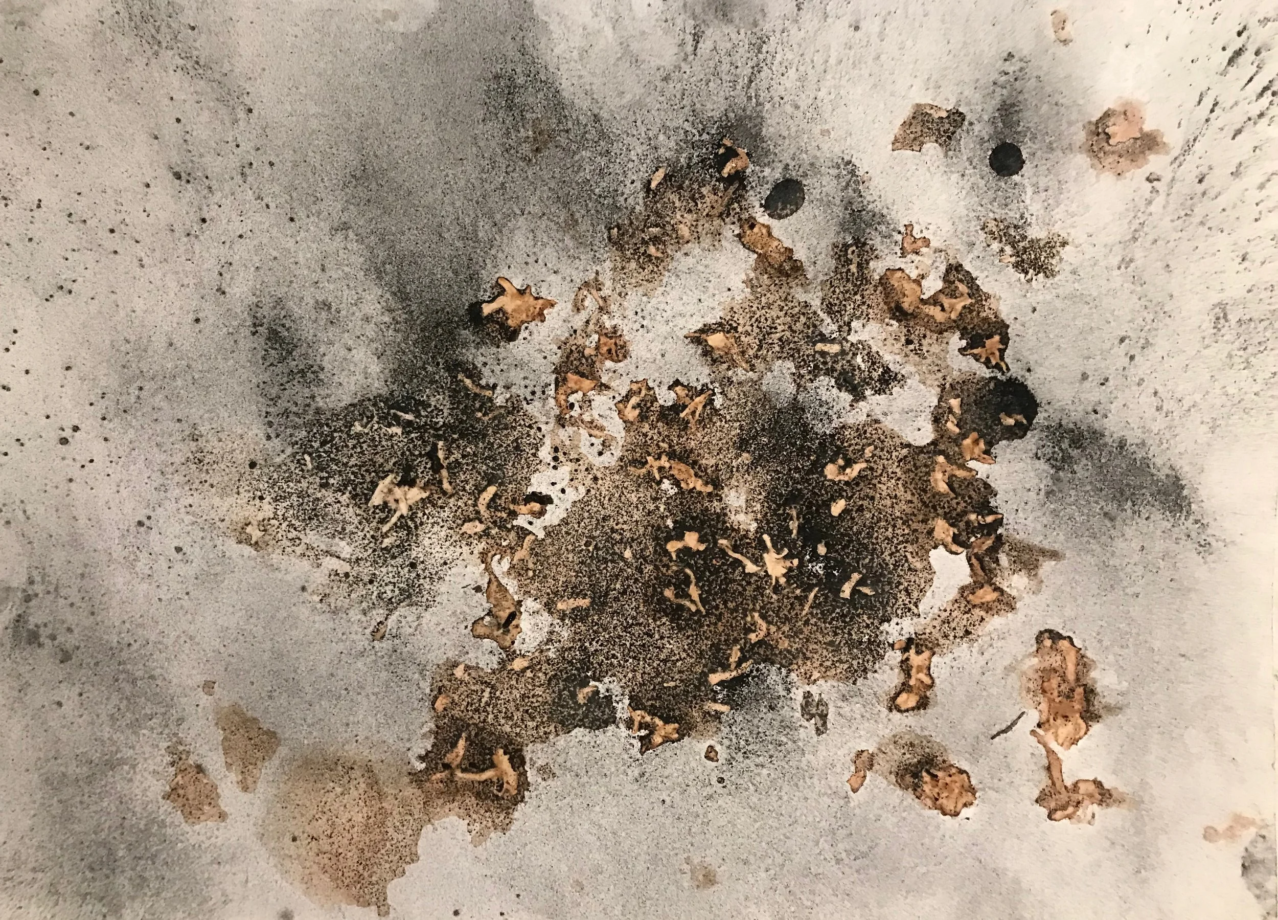 Charcoal, rain & Pu Er 1, 2021, 9" x 12" on paper