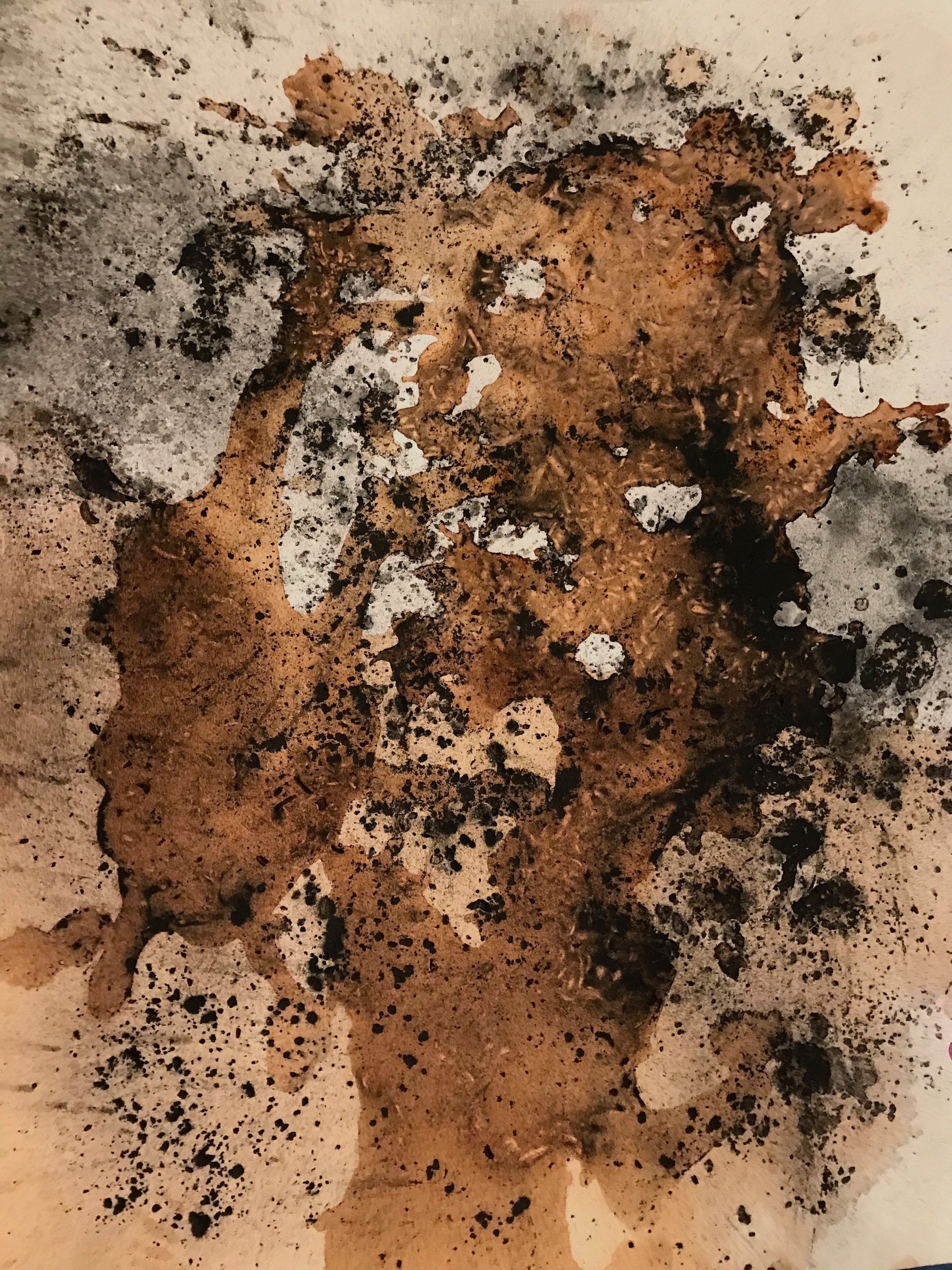 Suffusion: Salt, charcoal & Pu Er, 12" x 9", 2021