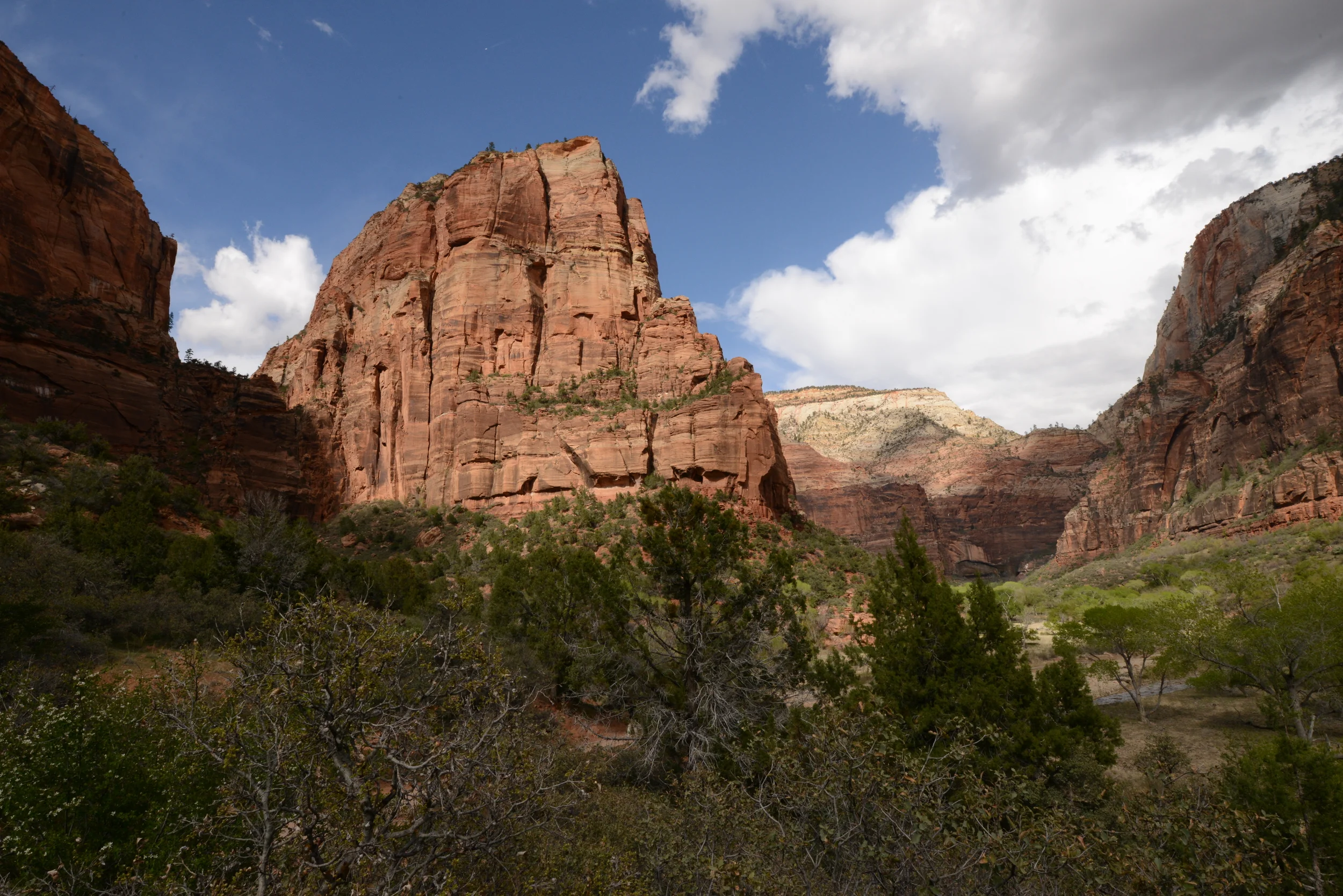 DSC_1947.JPG