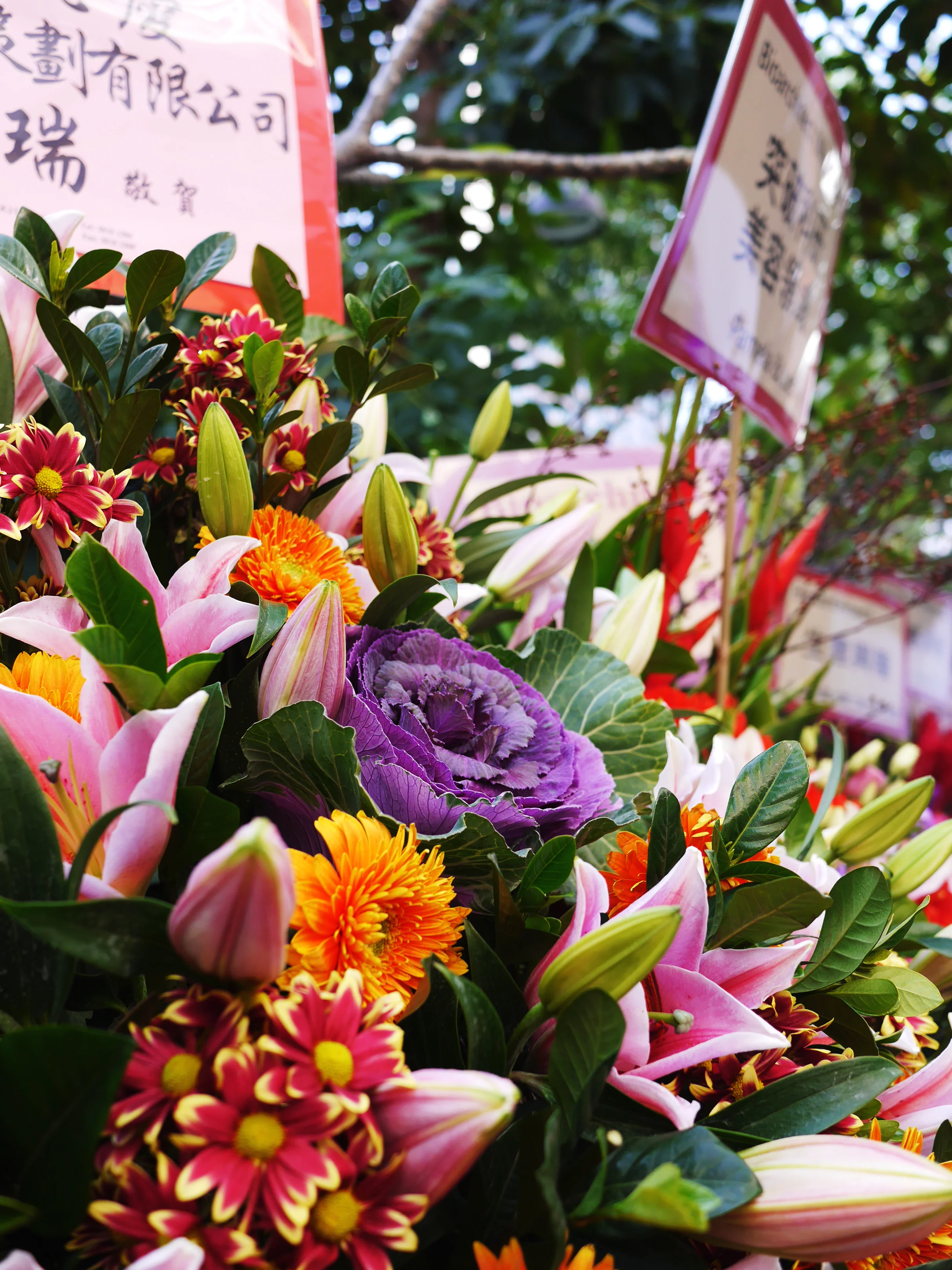 Bioarchitect Opening