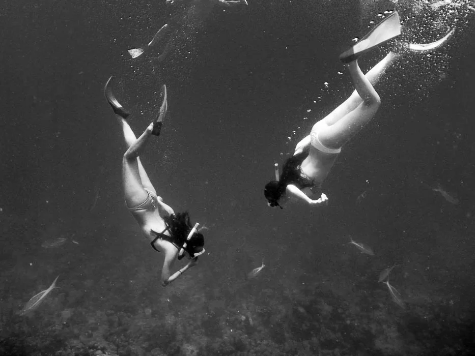 BVI VII: Final Days Of Riding Waves