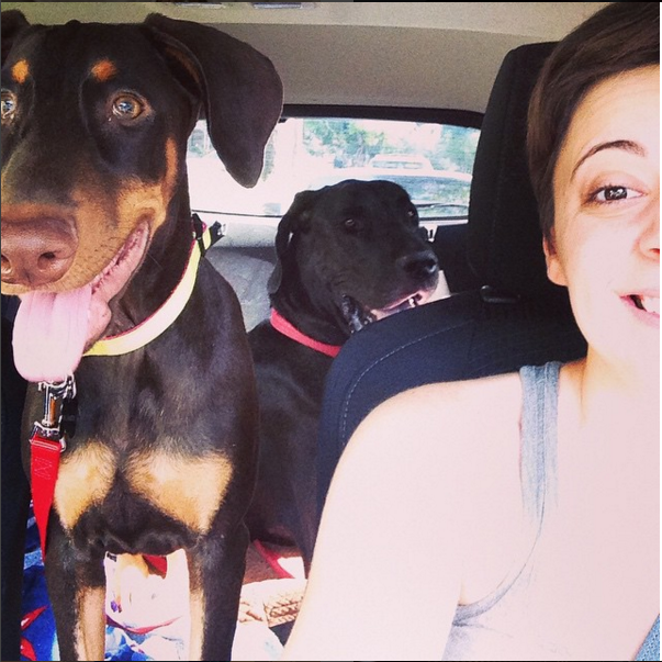 #figthedestroyer #theotheprotector @amesploss 