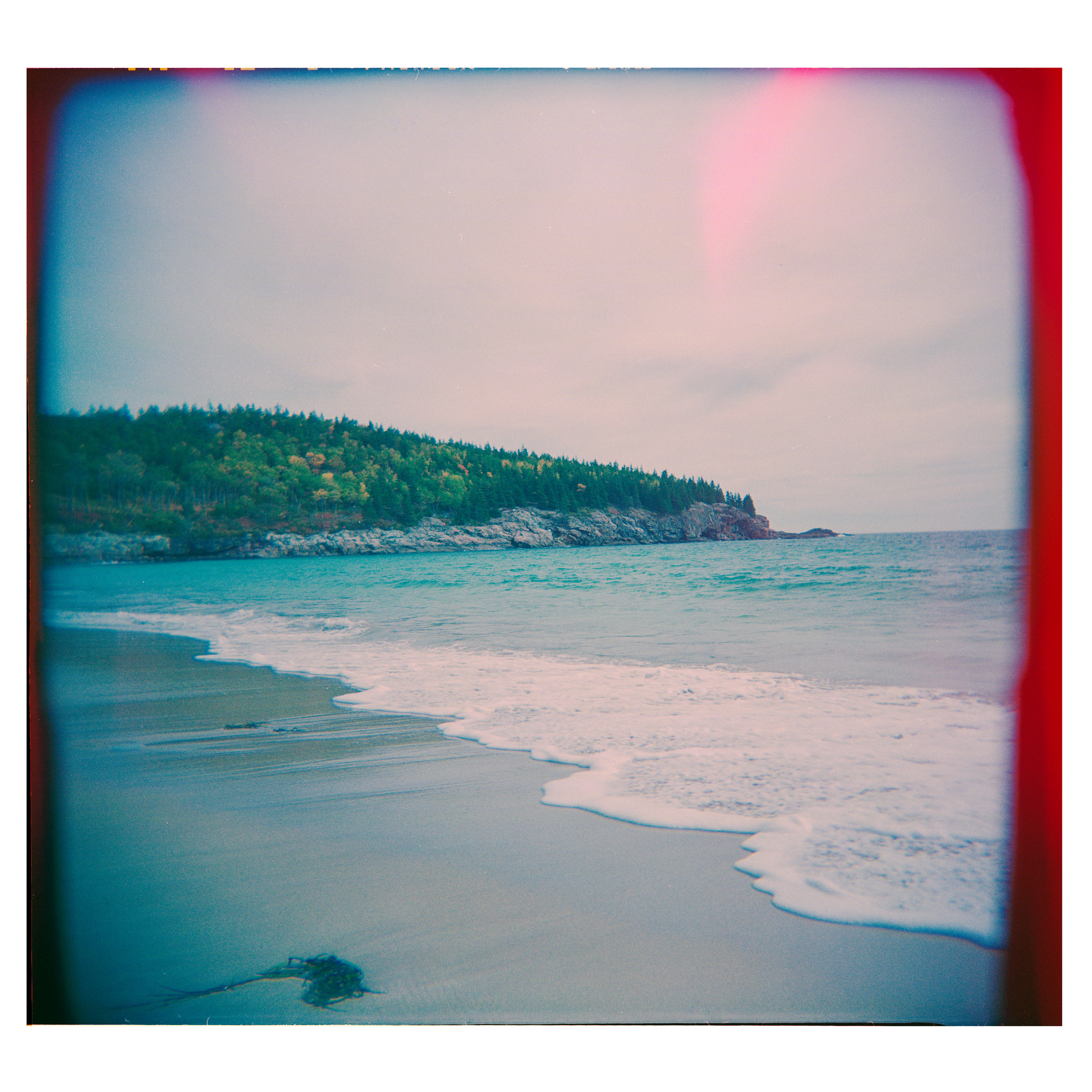 Sand Beach Acadia.jpg