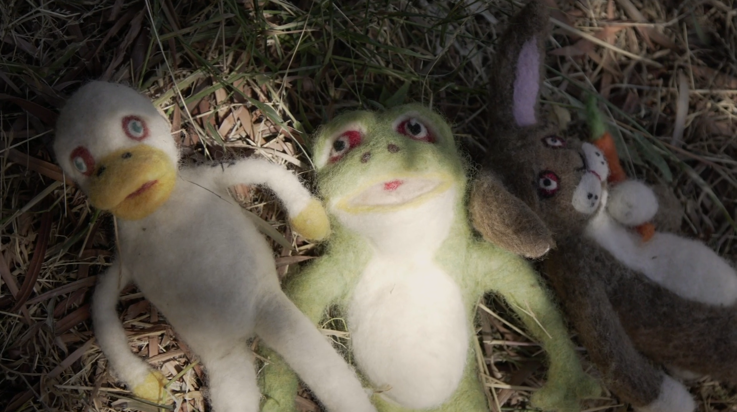 Screenshot 2026-01-16 at 11.25.58 AM.png