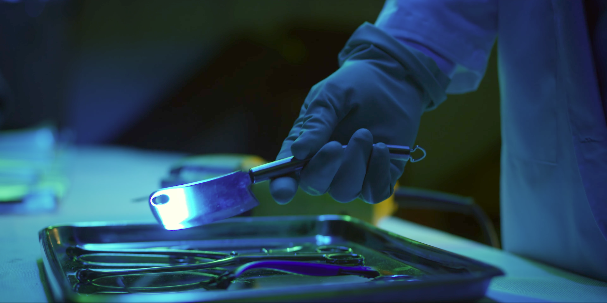 Screenshot 2026-01-29 at 11.33.43 PM.png