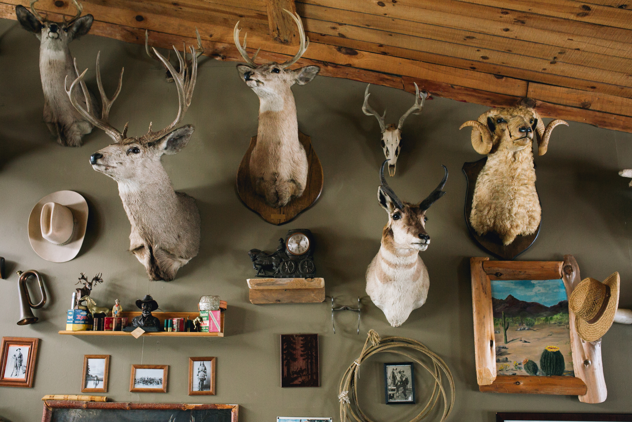 STARWOOD RANCH