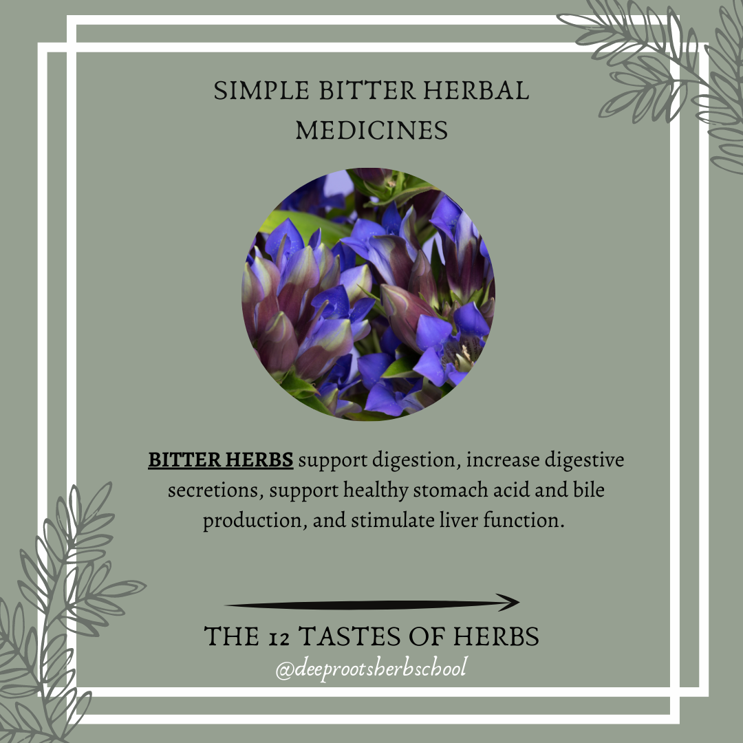 Copy of Meta IdeasSeries about herbalism.png