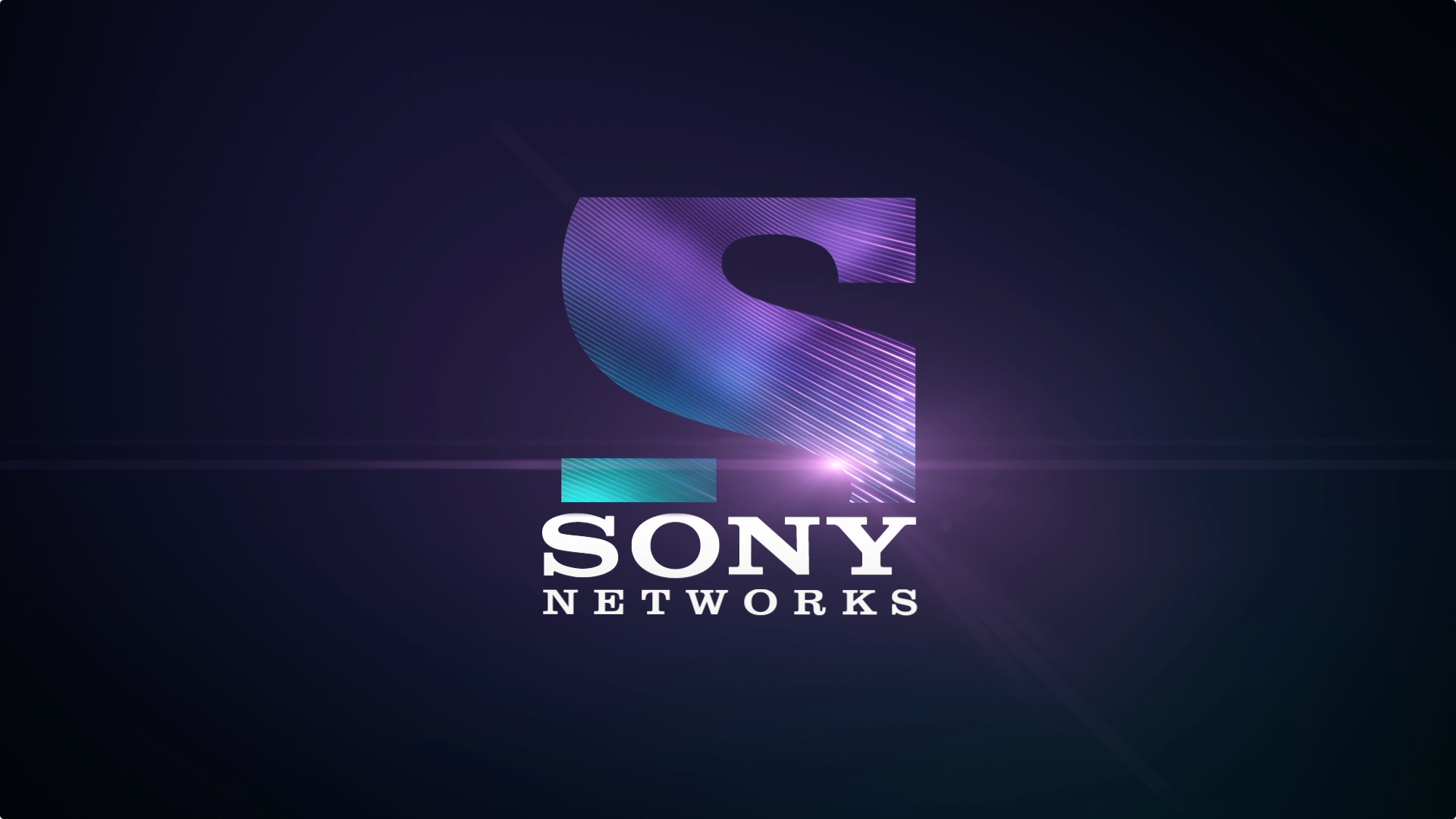 Sony Network Logo