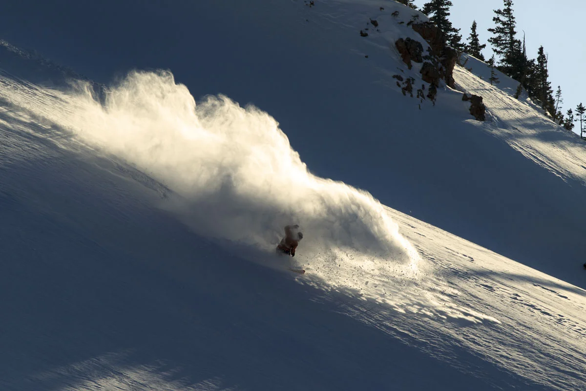 BryanFox0003.jpg