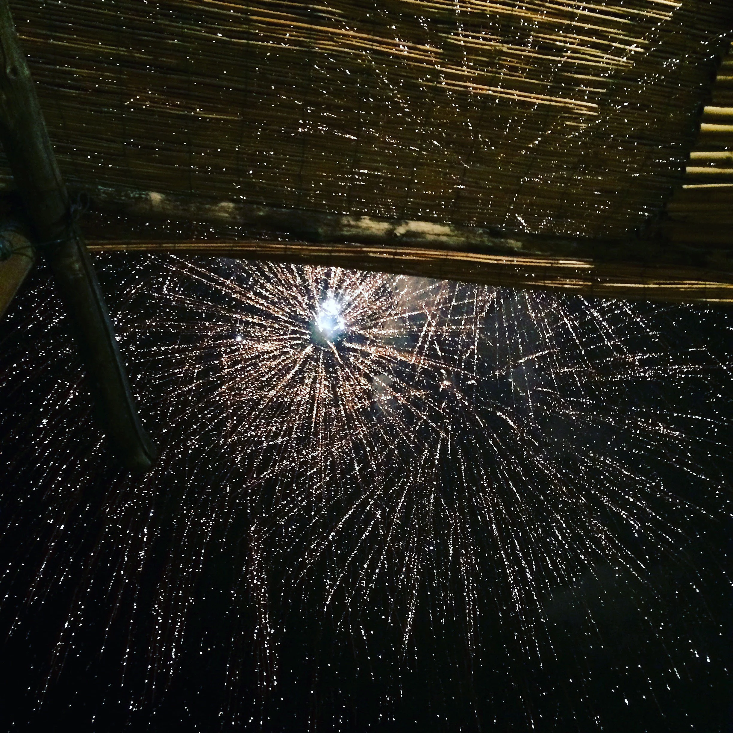 Fireworks.jpg