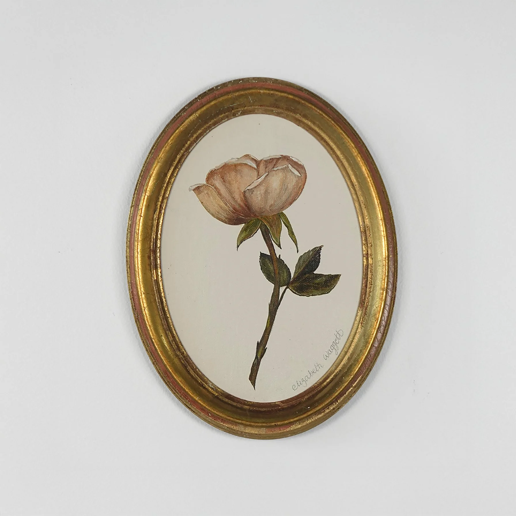 2025rose3pink copy.jpg