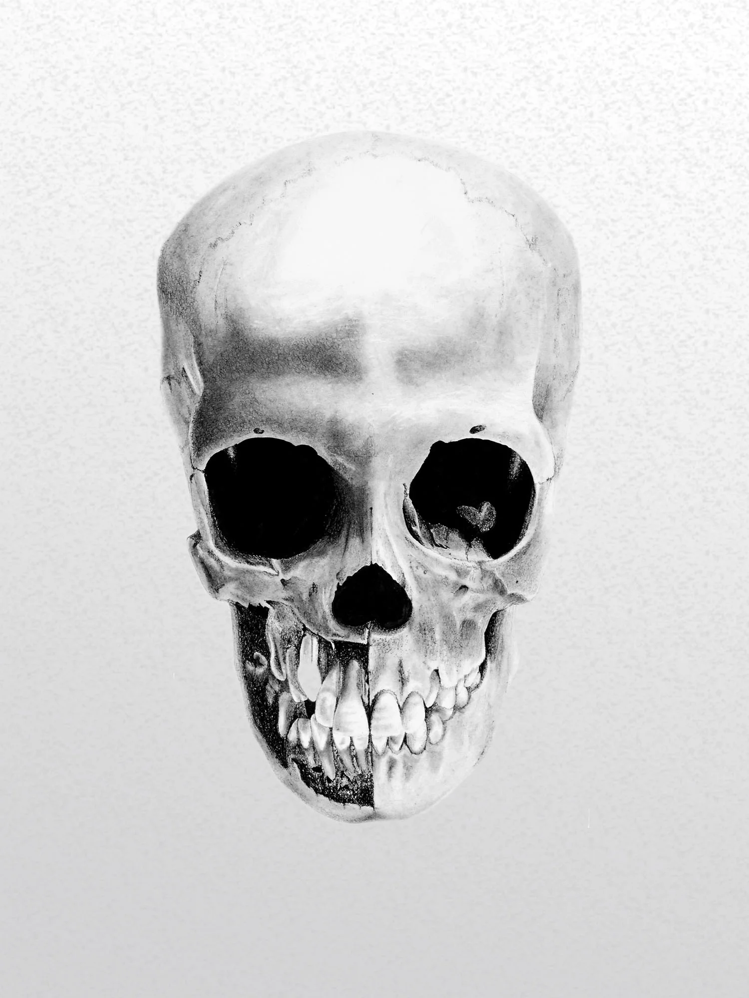 Skull 1 on paper texture.jpg