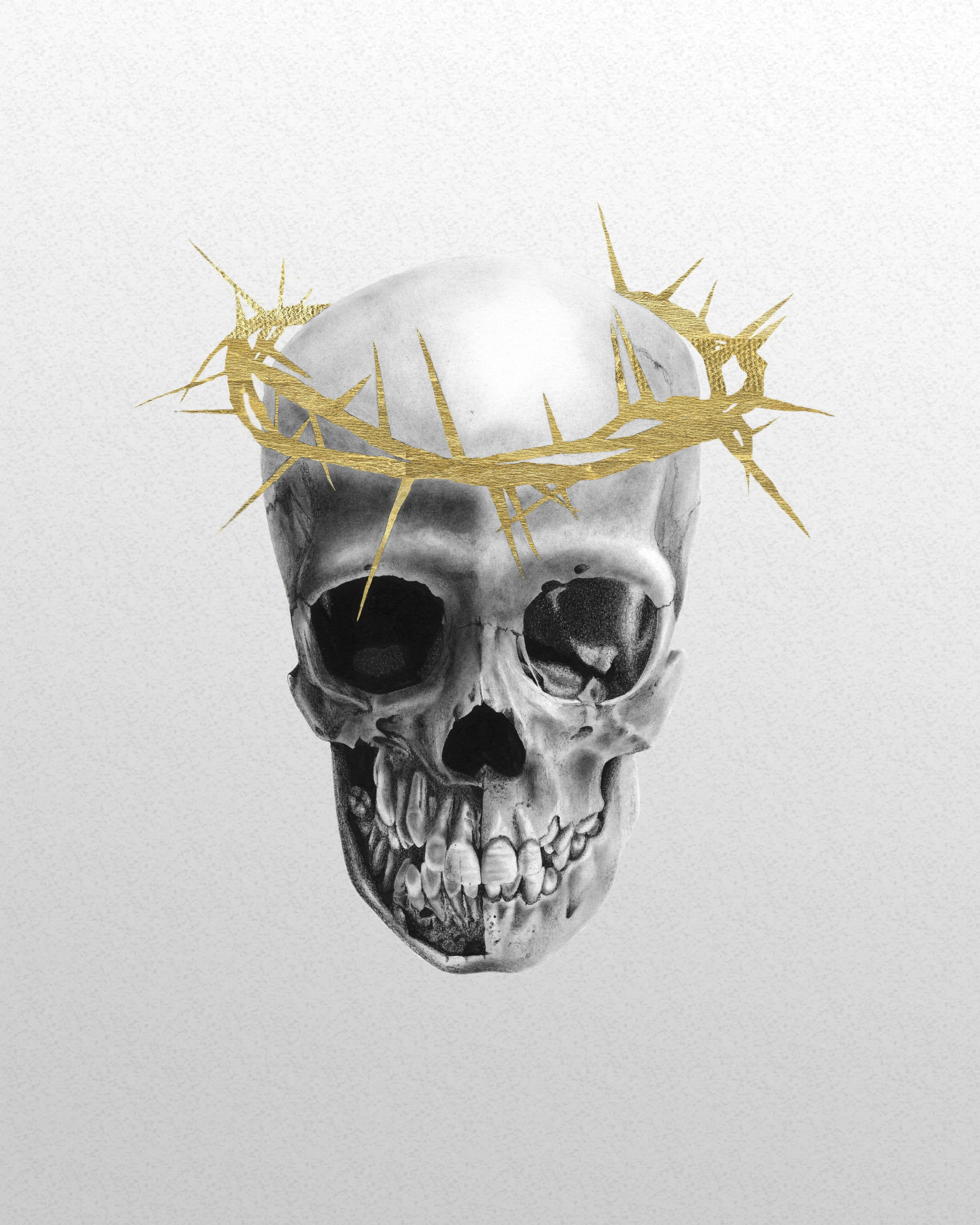 Skull 2 on paper.jpg