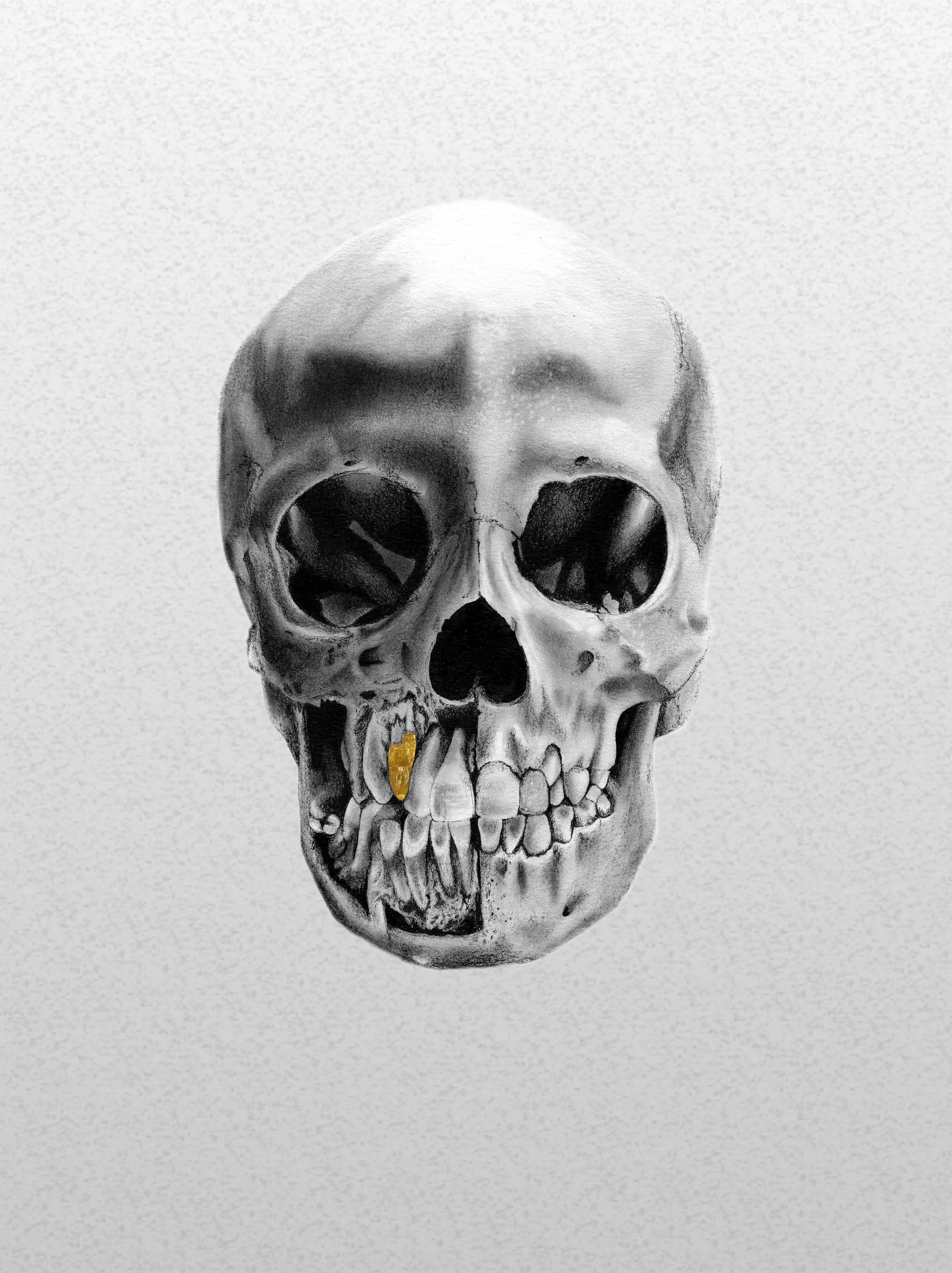 Skull 3 on paper.jpg