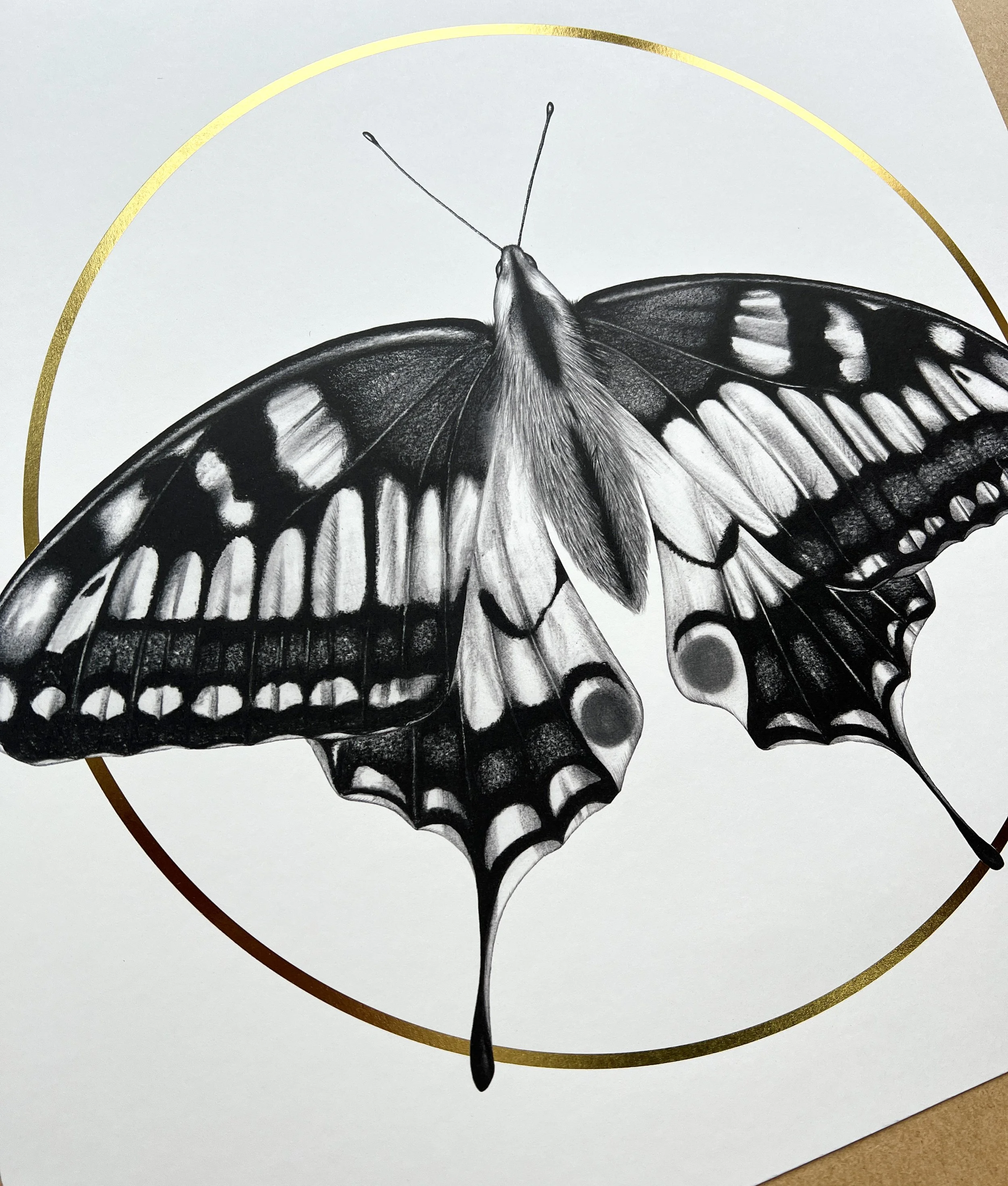 Butterfly detail.jpg