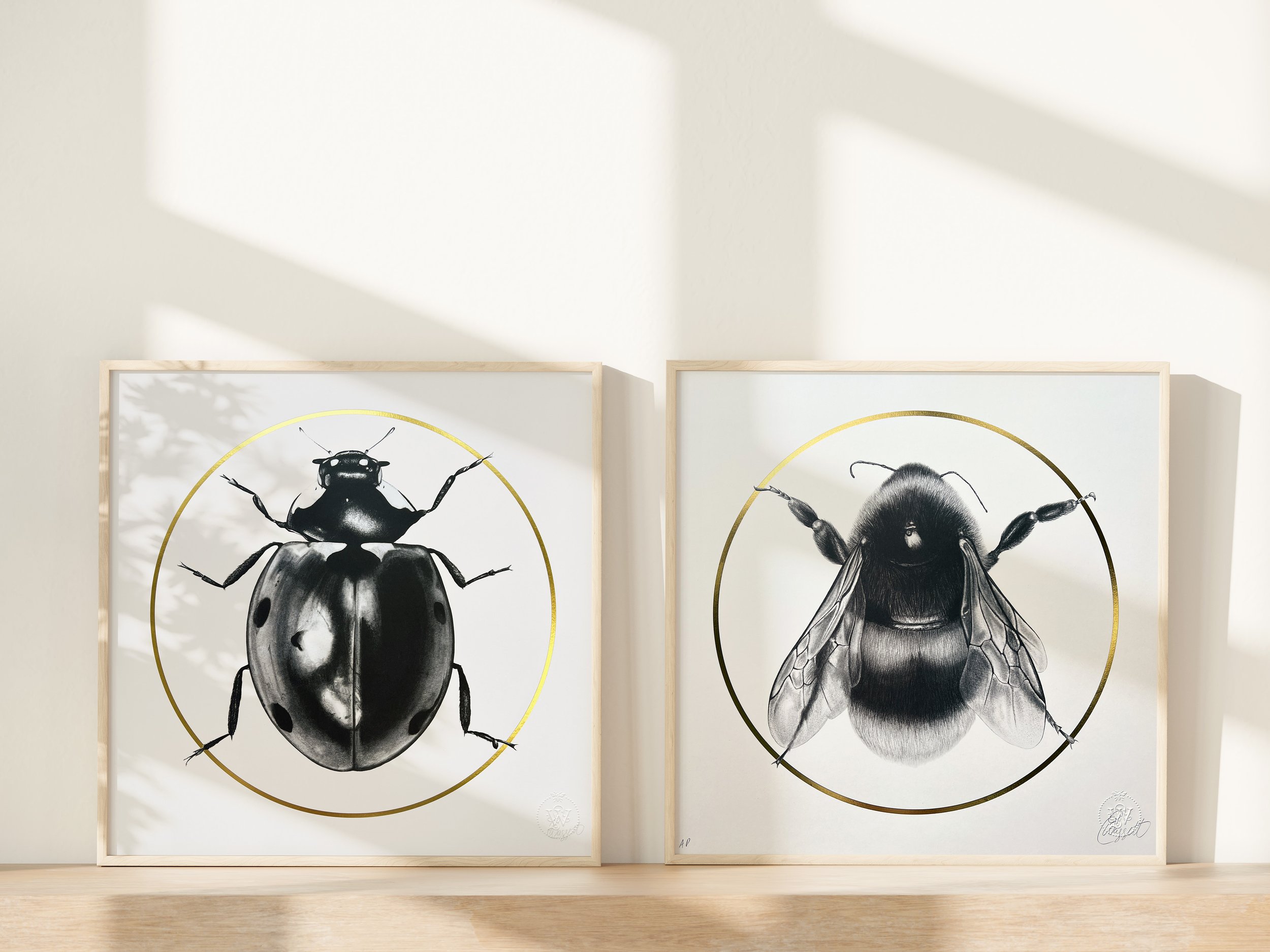Bee and Ladybird.jpg