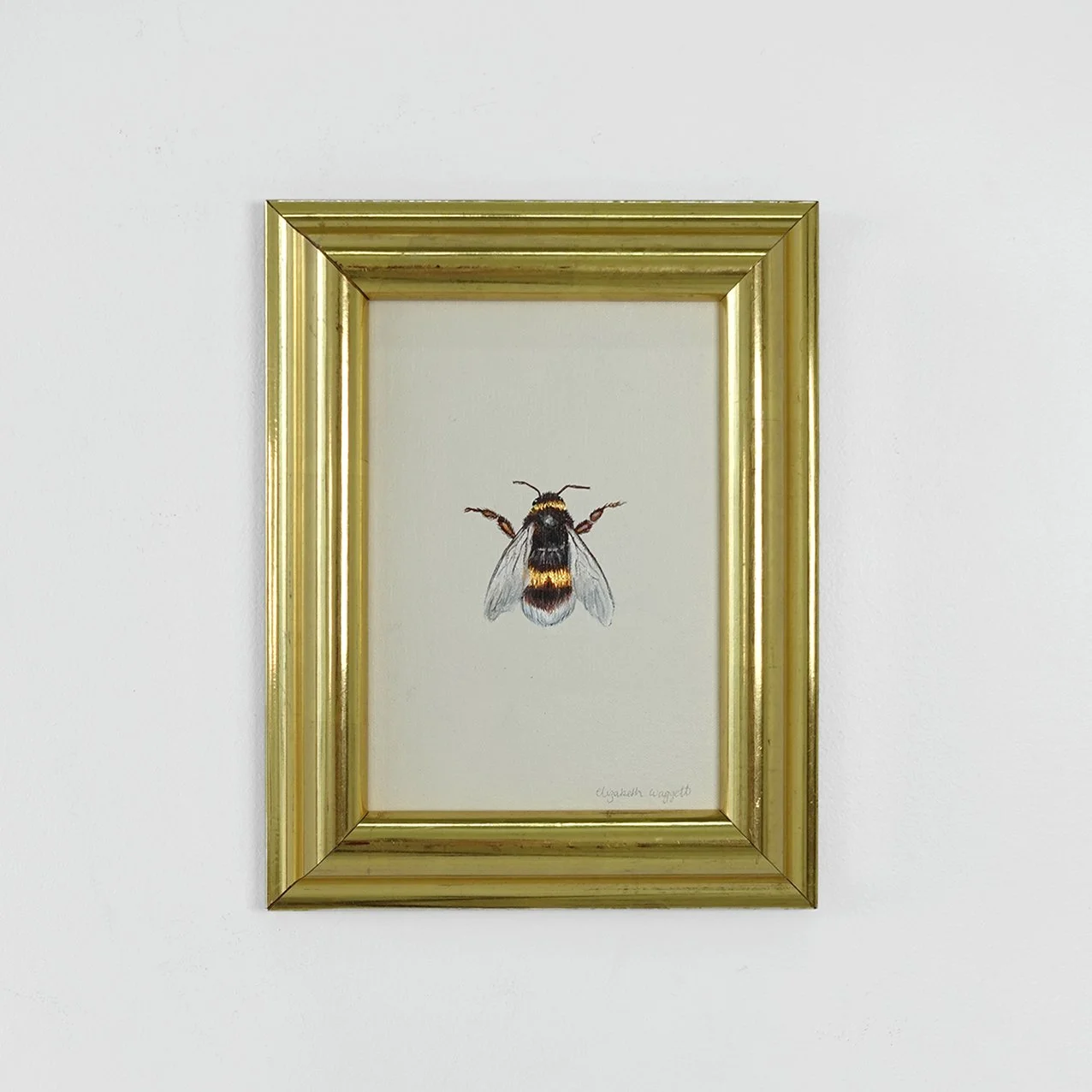 2025bee29 copy.jpg