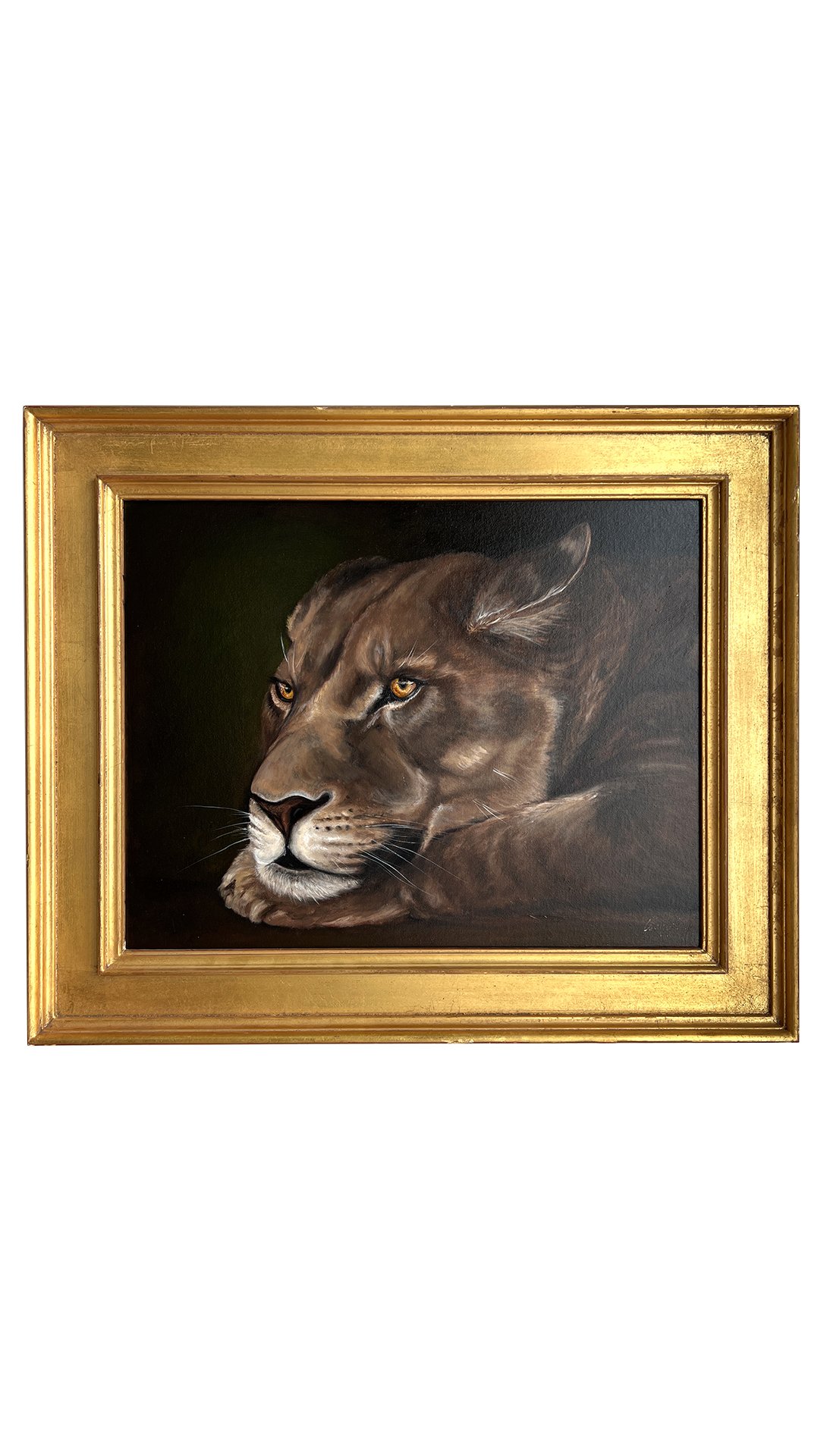 'Study of a Lioness II'
