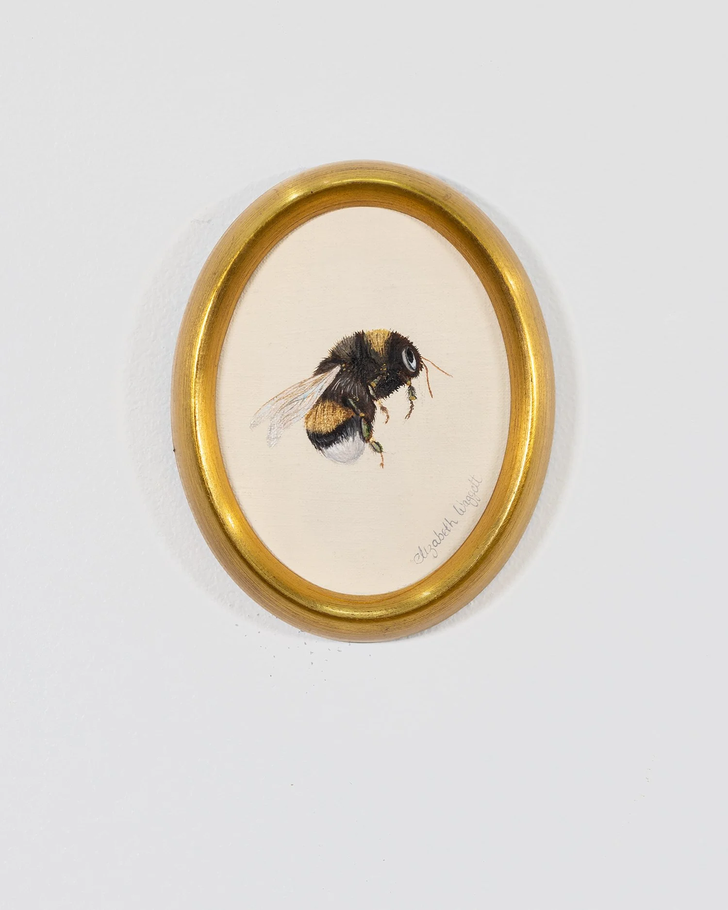 Originals - Bees-25 2.JPG