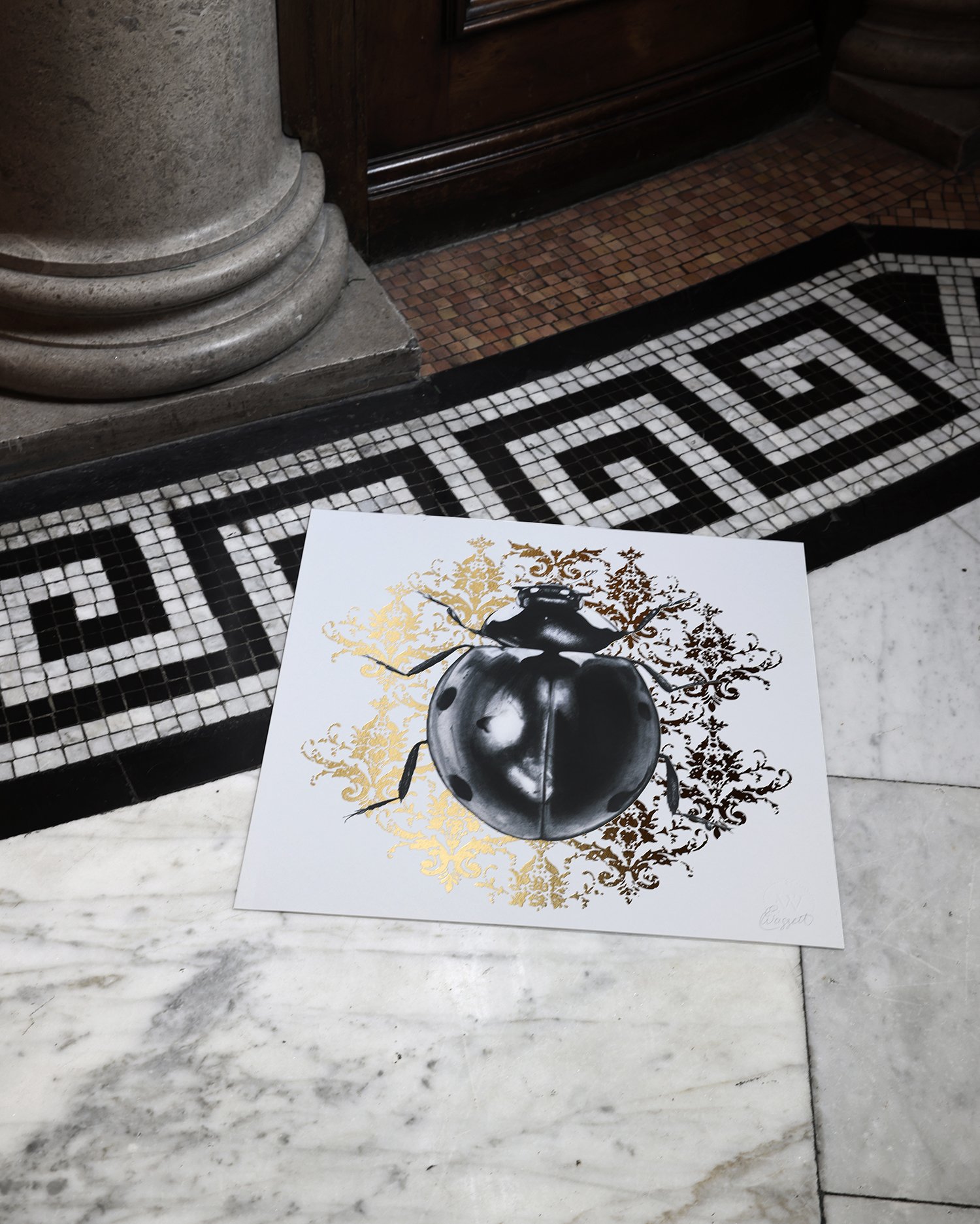 lady vic floor.jpg