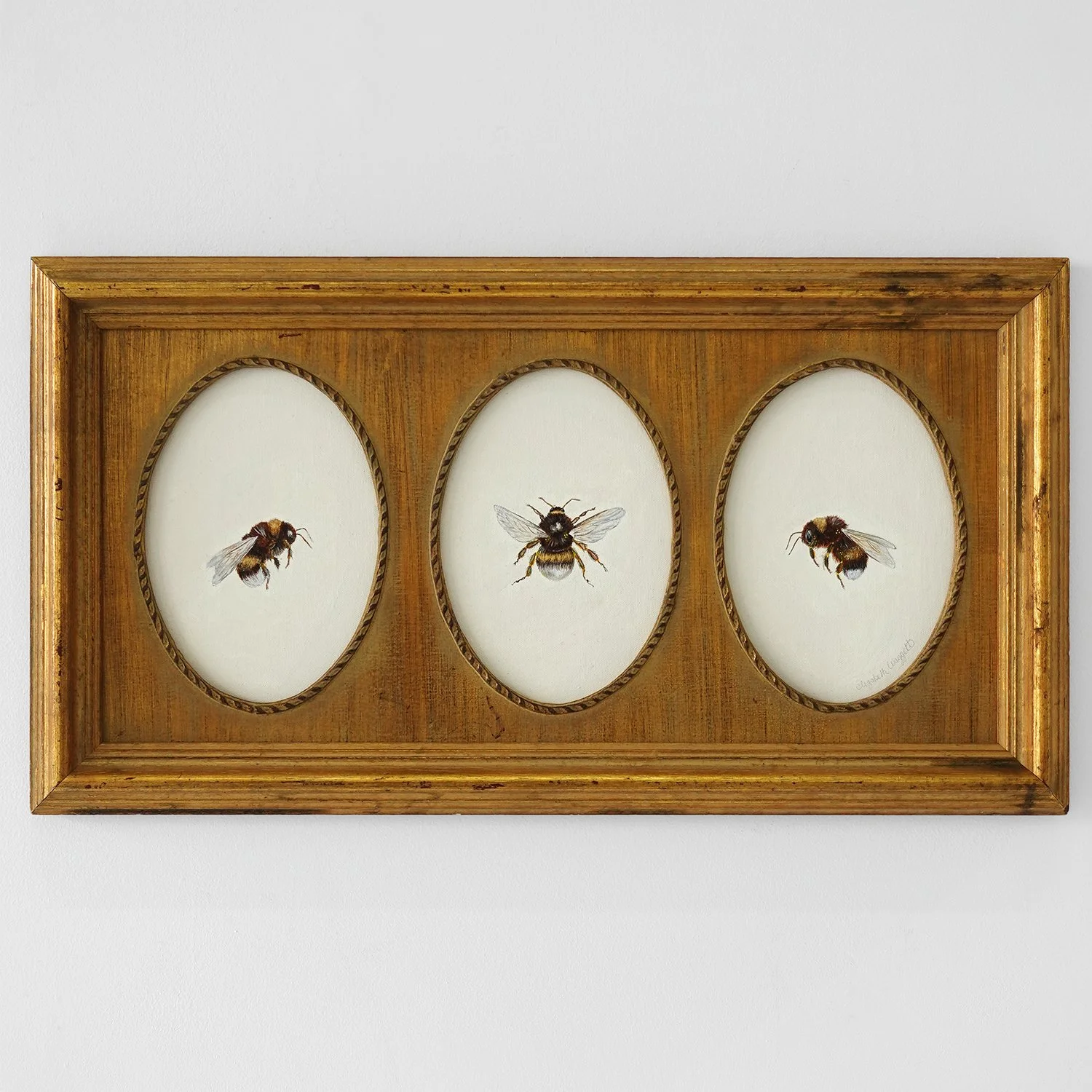 2025bee40.jpg