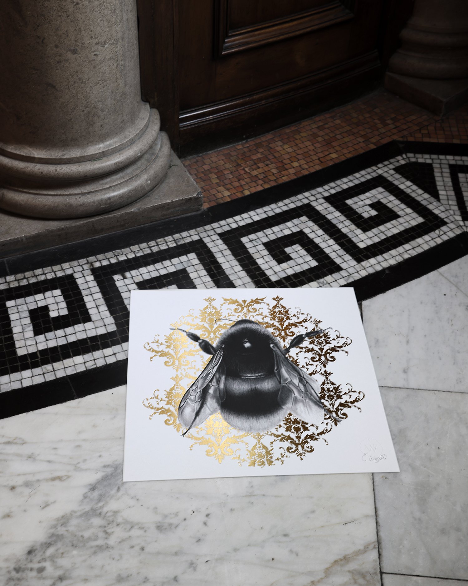 bee vic floor.jpg