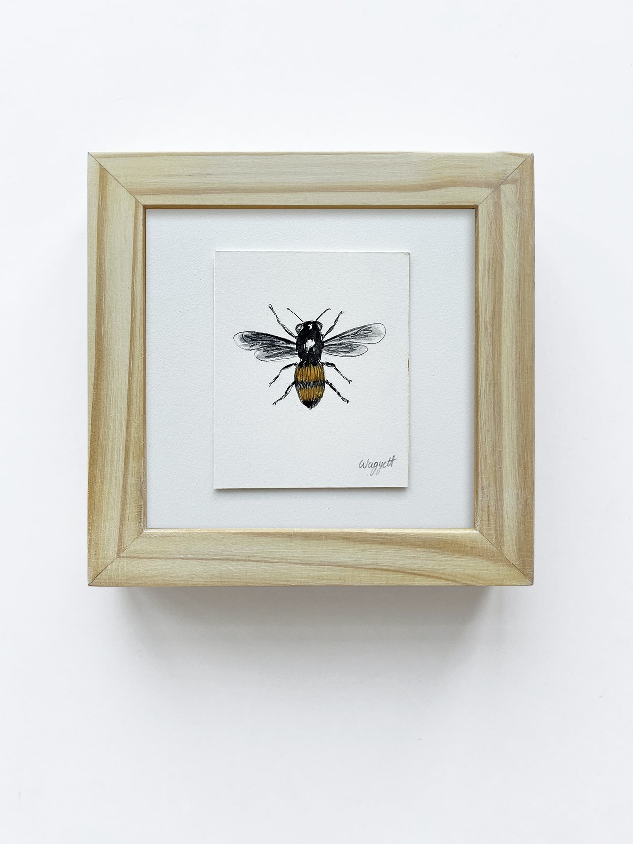 Bee Sketch IV (framed)