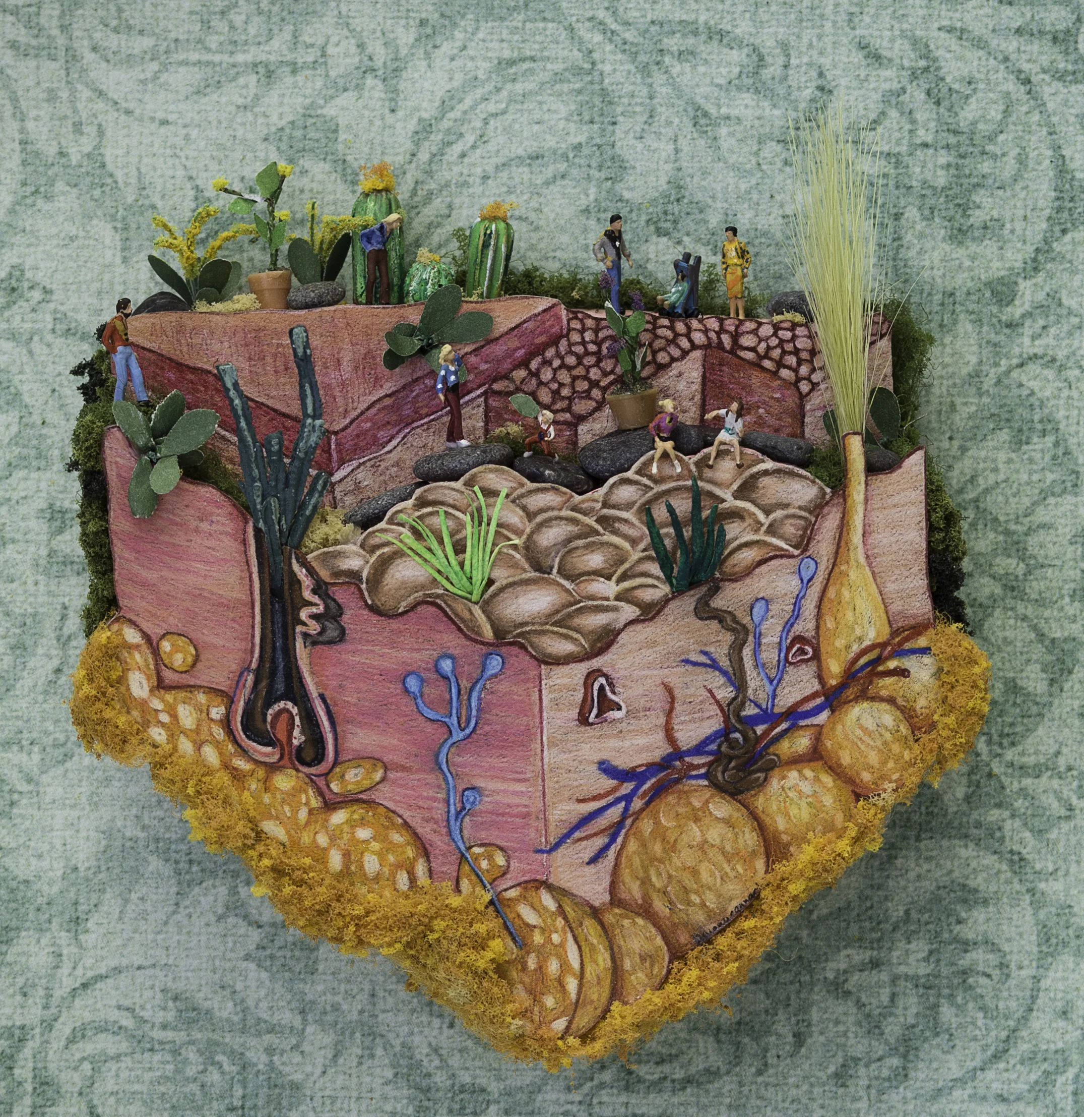 Skin Antamoy Conservatory 5x5x.5.jpg