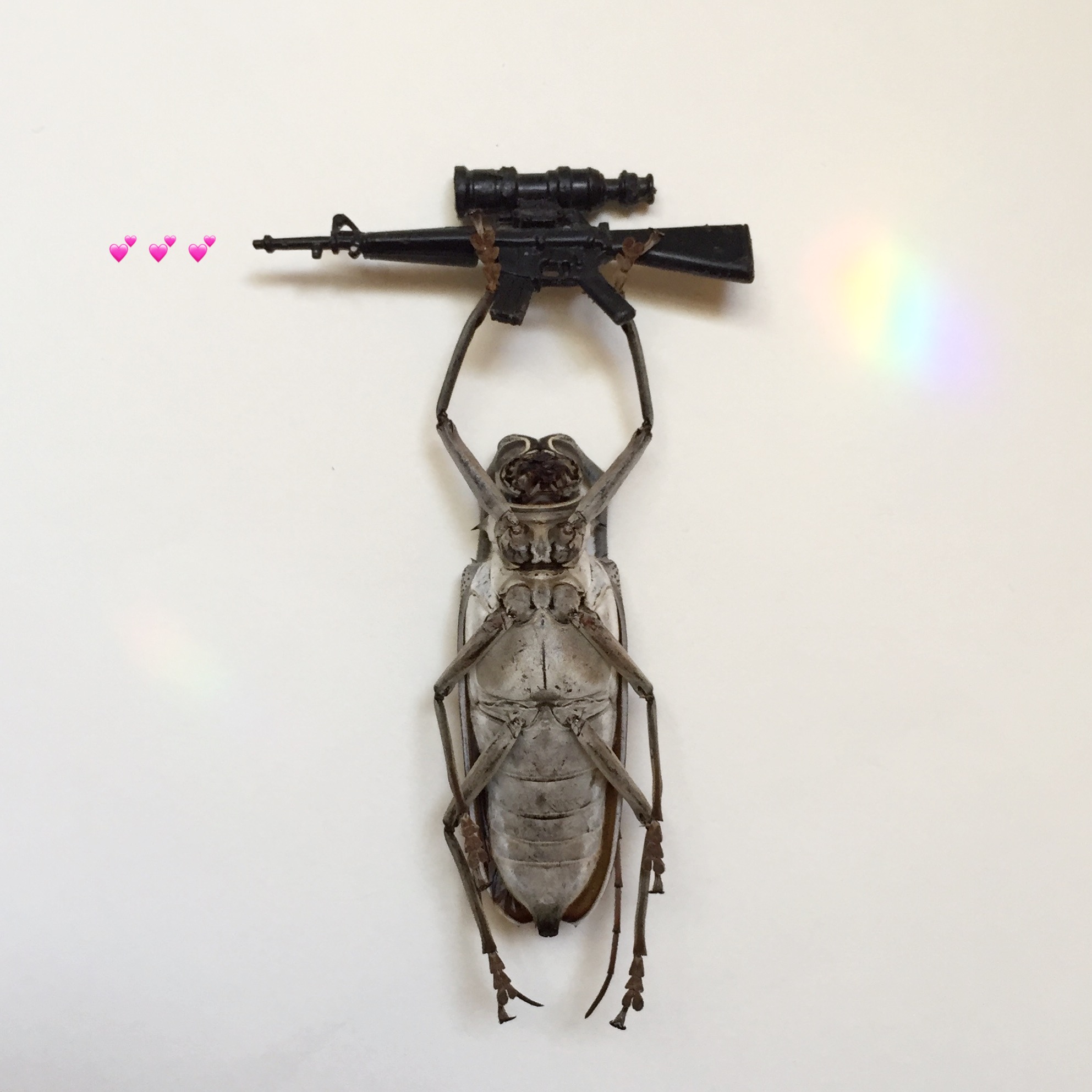 Say hello to my little friend!