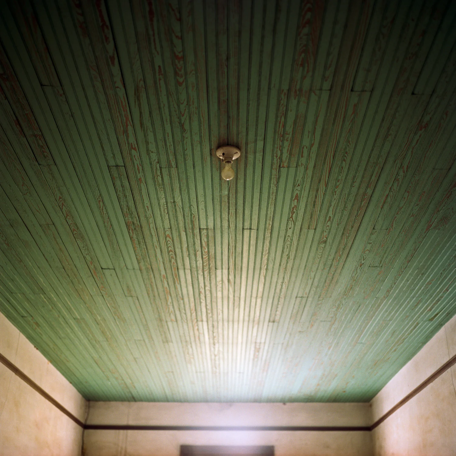 Bulb
