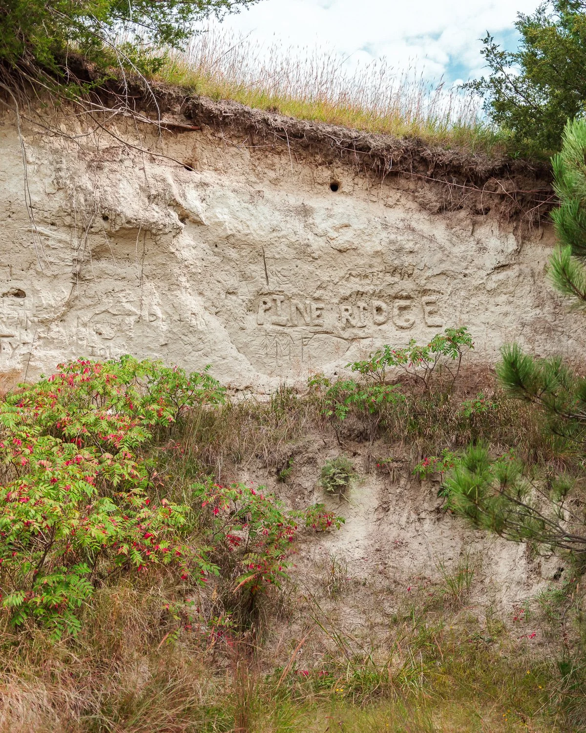  Wall carvings in the tightly compacted sand of the Nebraska Sandhills in Long Pine, NE, for The New York Times, 2025 