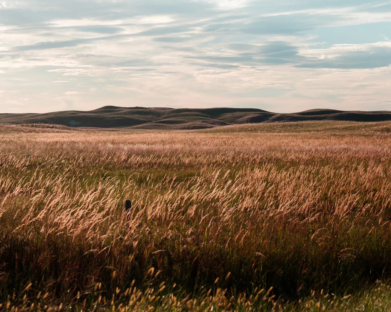  The Nebraska Sandhills, Rock County, NE, for The New York Times, 2025 