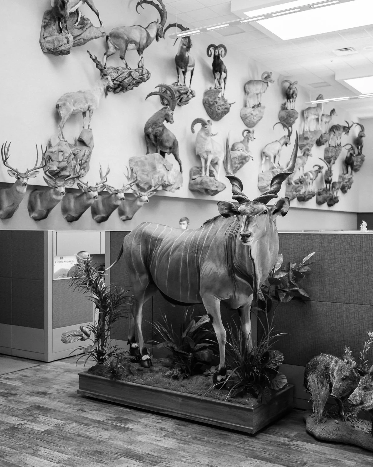  The offices at Hornady Manufacturing in Grand Island, NE, for The Wall Street Journal, 2020 