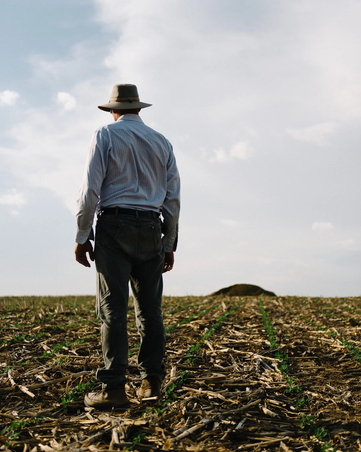  Danny Kluthe inspects a crop on his farm, near Dodge, NE, for Le Monde, 2017 
