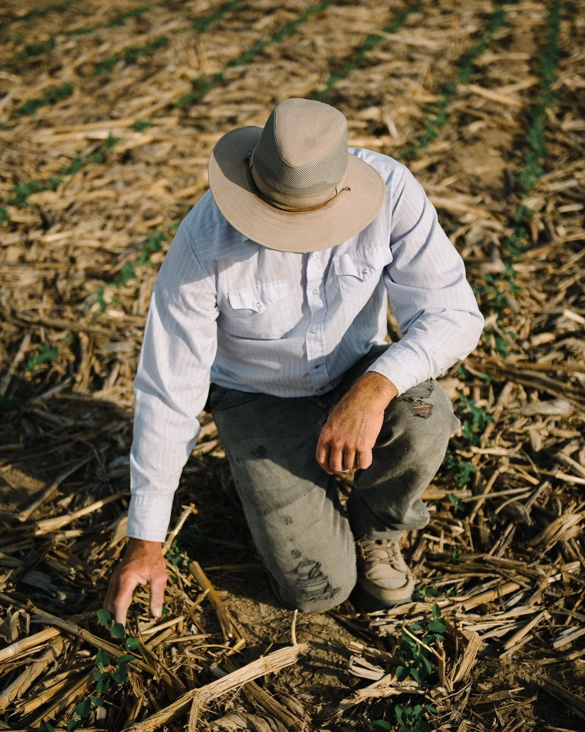  Danny Kluthe on his farm, near Dodge, NE, for Le Monde, 2017 