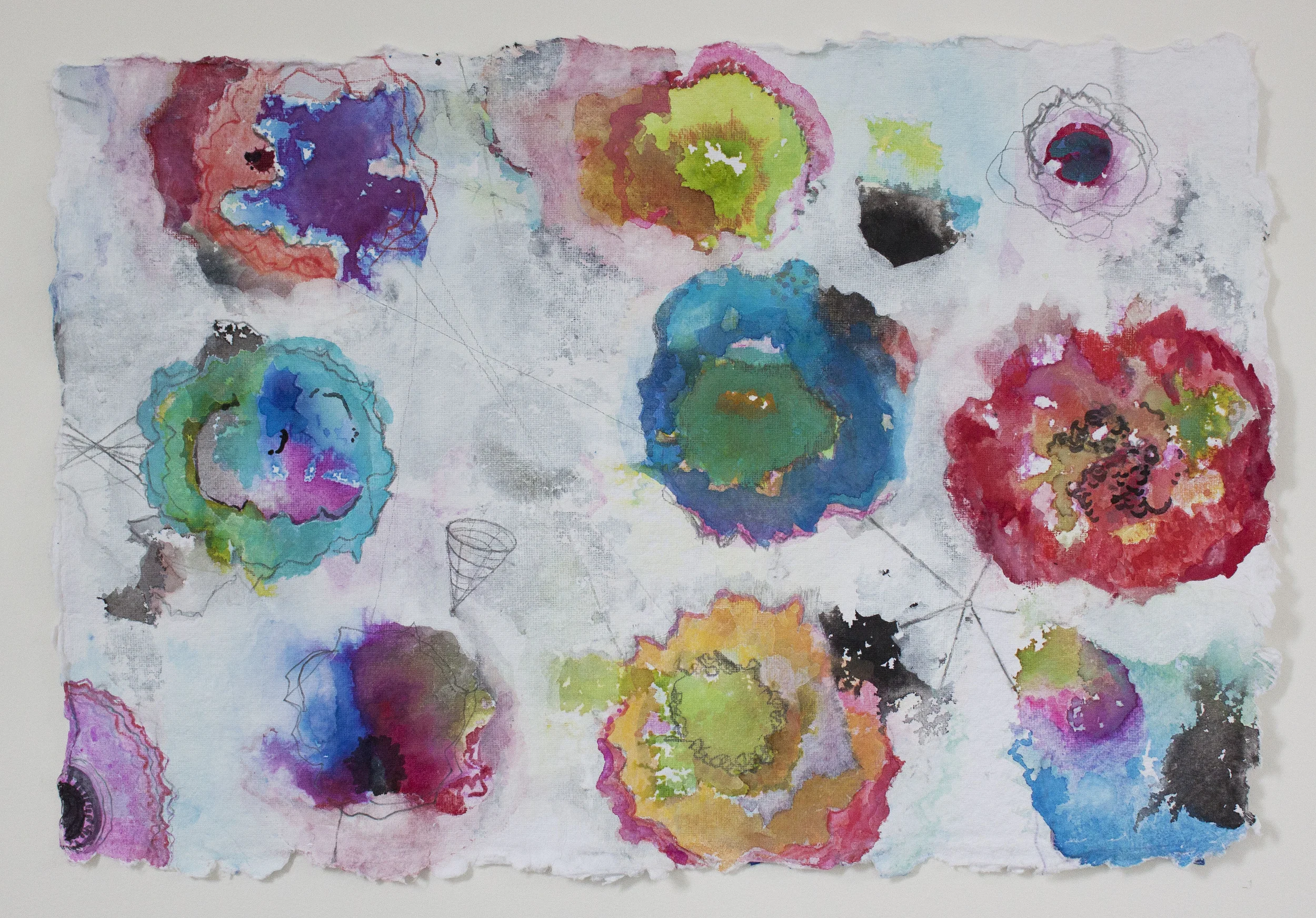Poppies 3, 12"x 18", gouache, ink, graphite on handmade paper, 2013