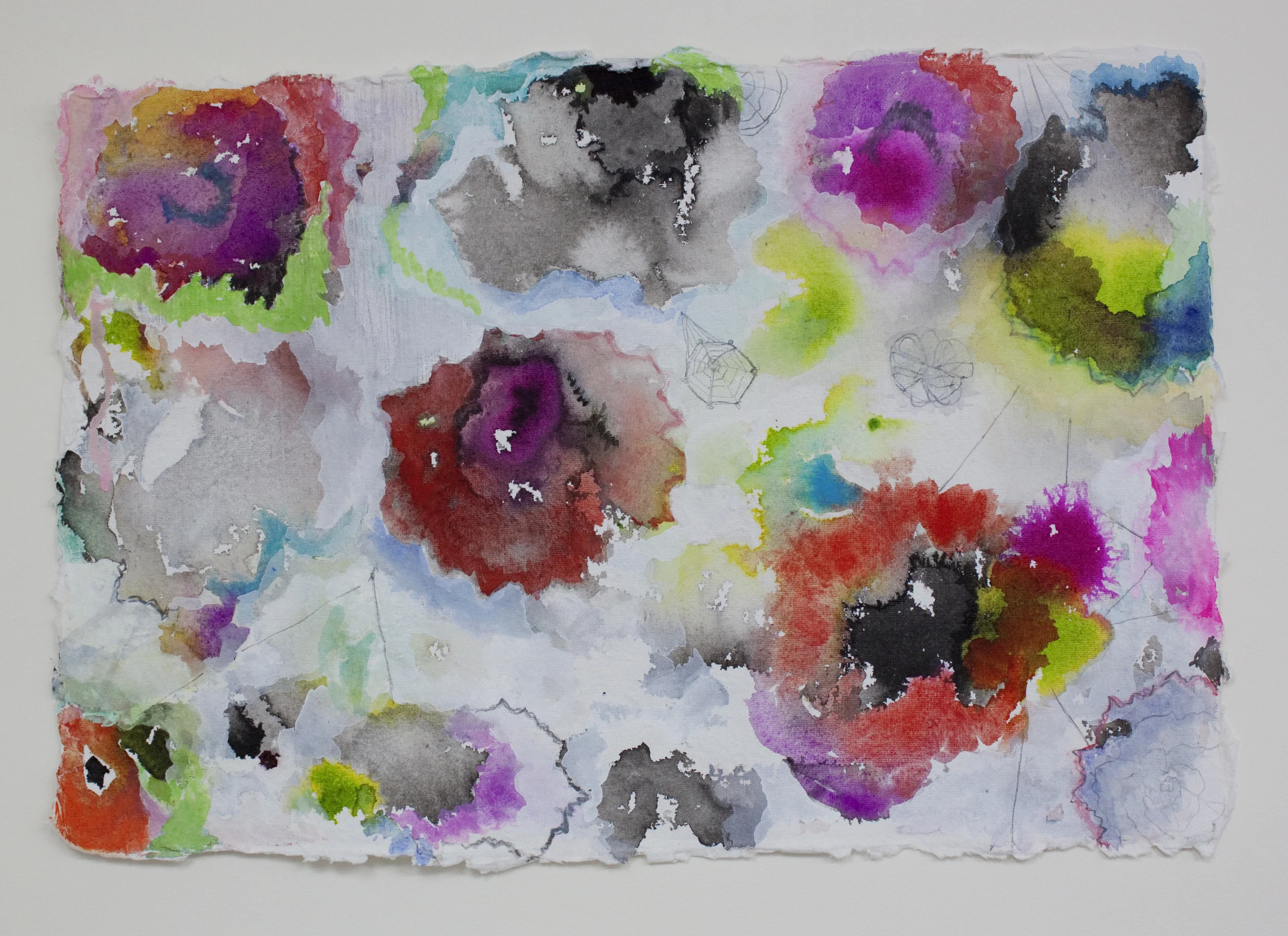 Poppies 1, 12"x 18", gouache, ink, graphite on handmade paper, 2013